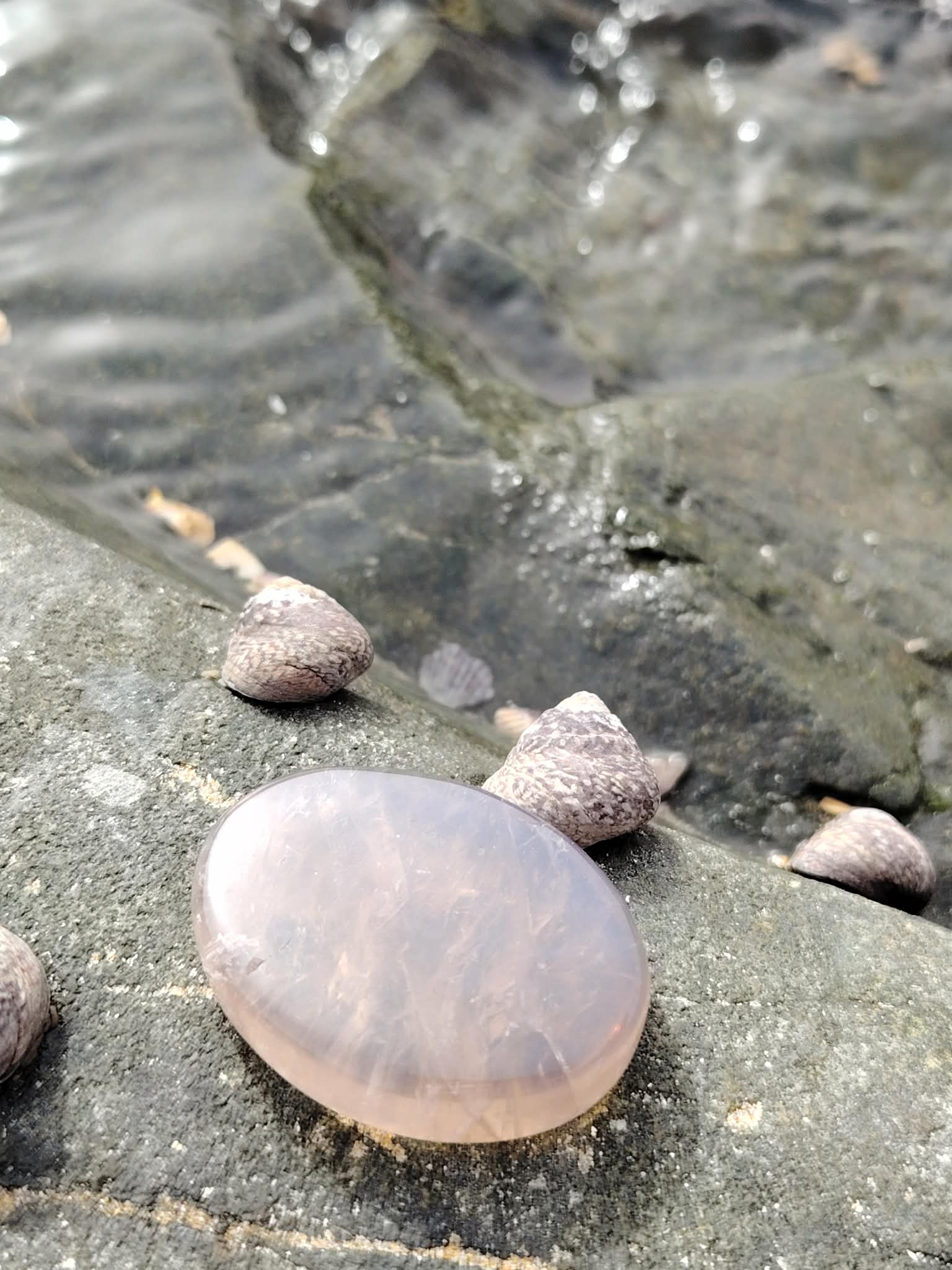 Galet en quartz rose bleu naturel posé sur une roche au bord de l’eau en Bretagne, pierre naturelle liée à la fluidité émotionnelle, à la douceur et à l’apaisement intérieur.