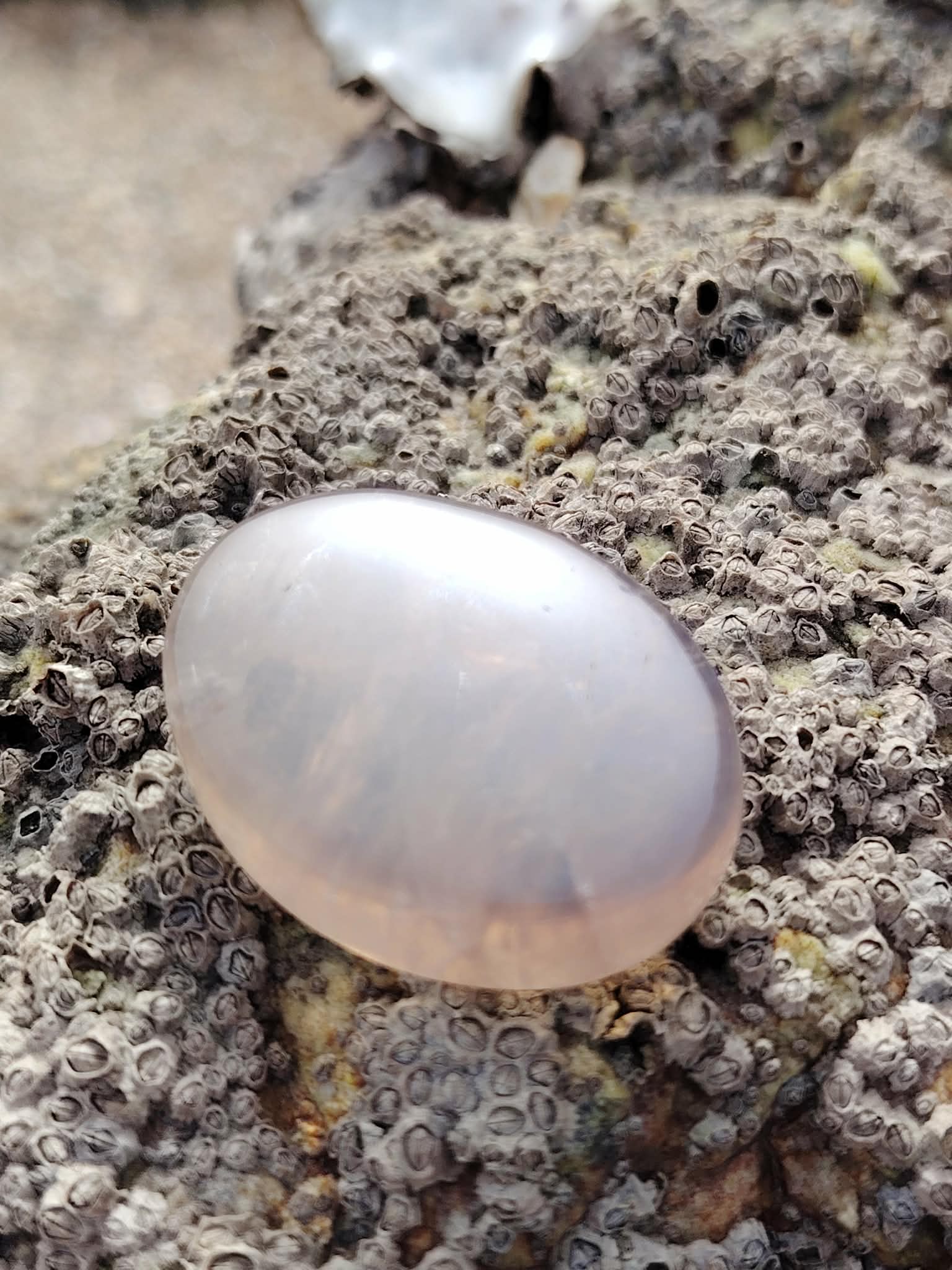 Galet en quartz rose bleu naturel posé sur une roche en Bretagne, pierre naturelle associée au calme du cœur, à la sensibilité et à la présence à soi.