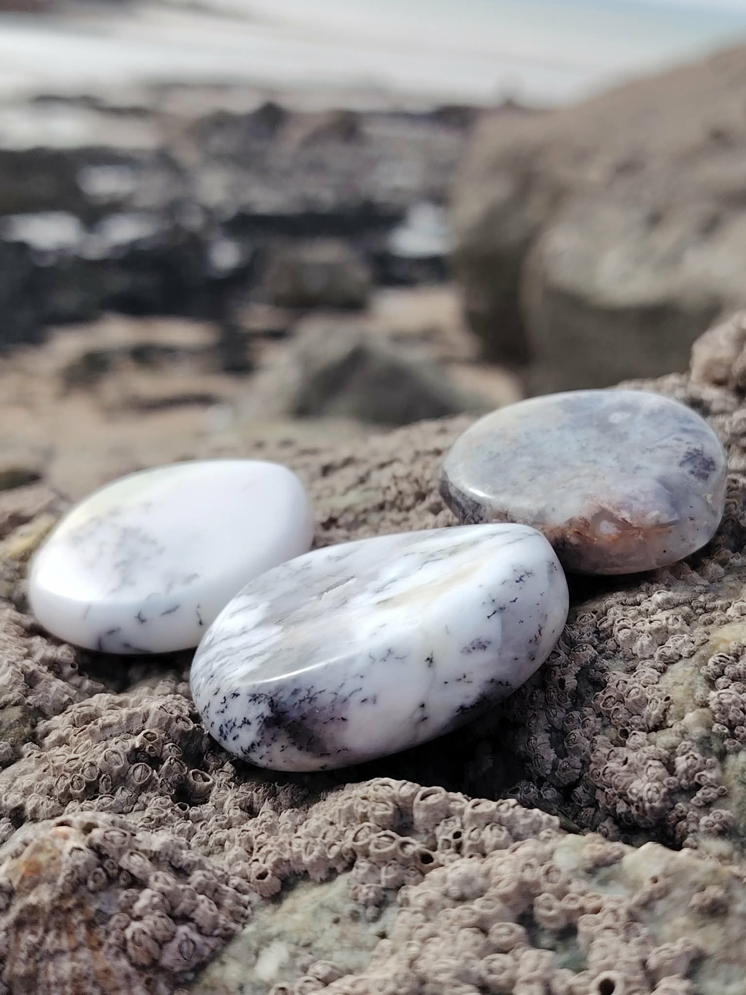 Galets de calcédoine dendritique posés sur les rochers en Bretagne face à la mer, pierres naturelles évoquant l’enracinement, la tranquillité et la lucidité intérieure.