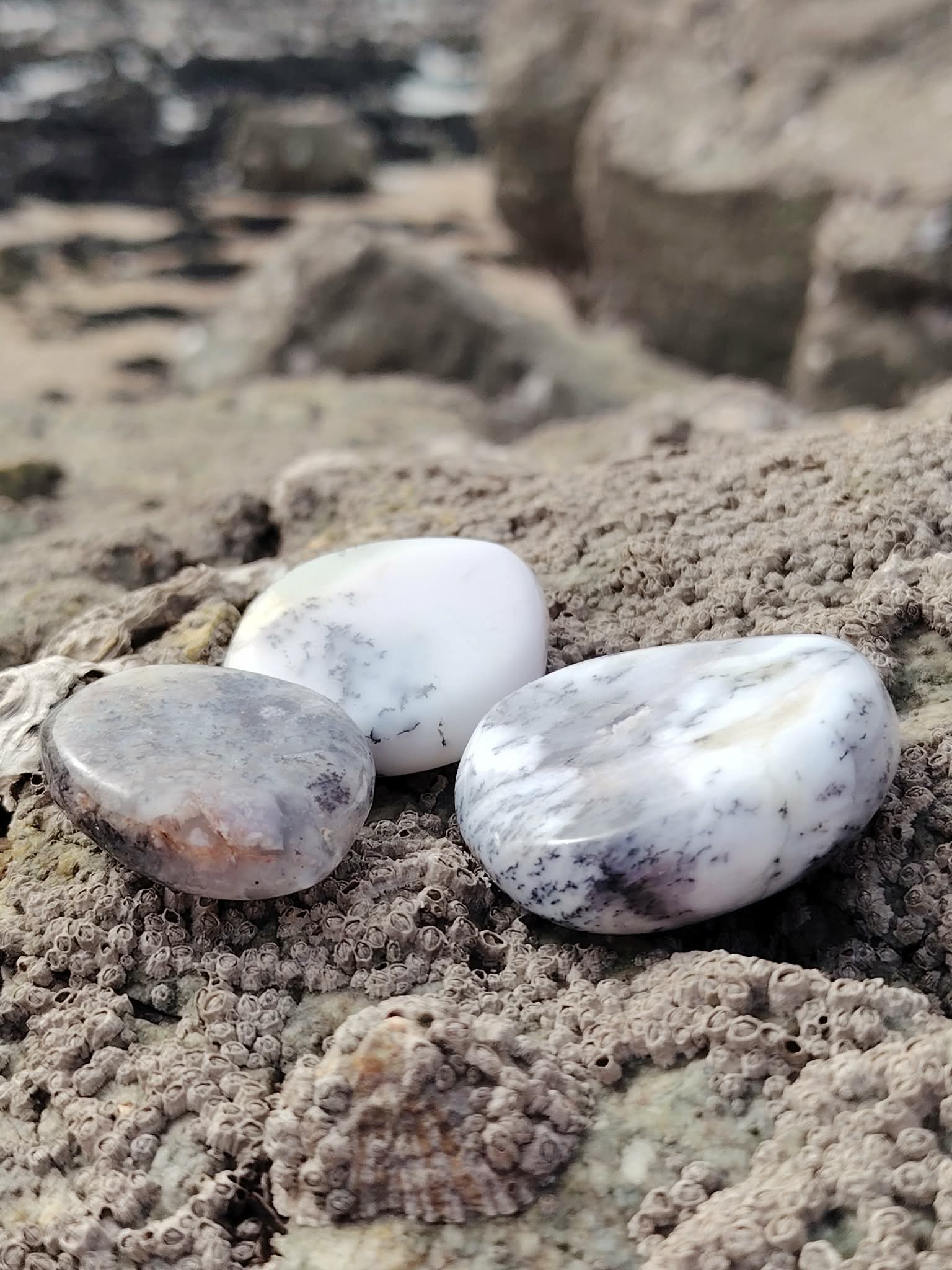 Galets de calcédoine dendritique posés sur les rochers en Bretagne avec la mer en arrière-plan, pierres naturelles associées à la fluidité intérieure, au recul et à la sérénité.