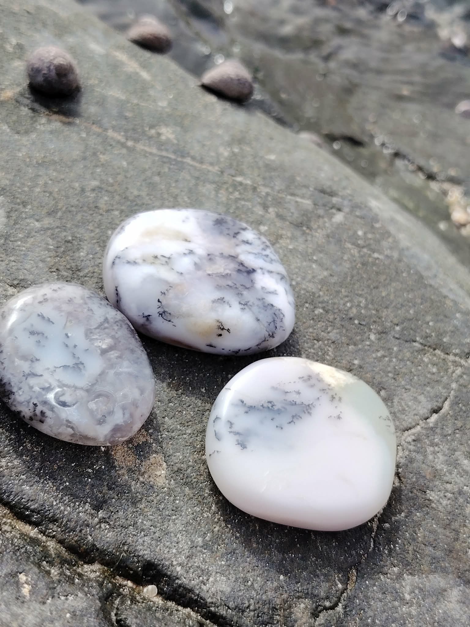 Galets de calcédoine dendritique posés sur la roche en Bretagne, aux motifs naturels délicats, pierres naturelles reliées à l’harmonie intérieure, à la stabilité émotionnelle et au calme.
