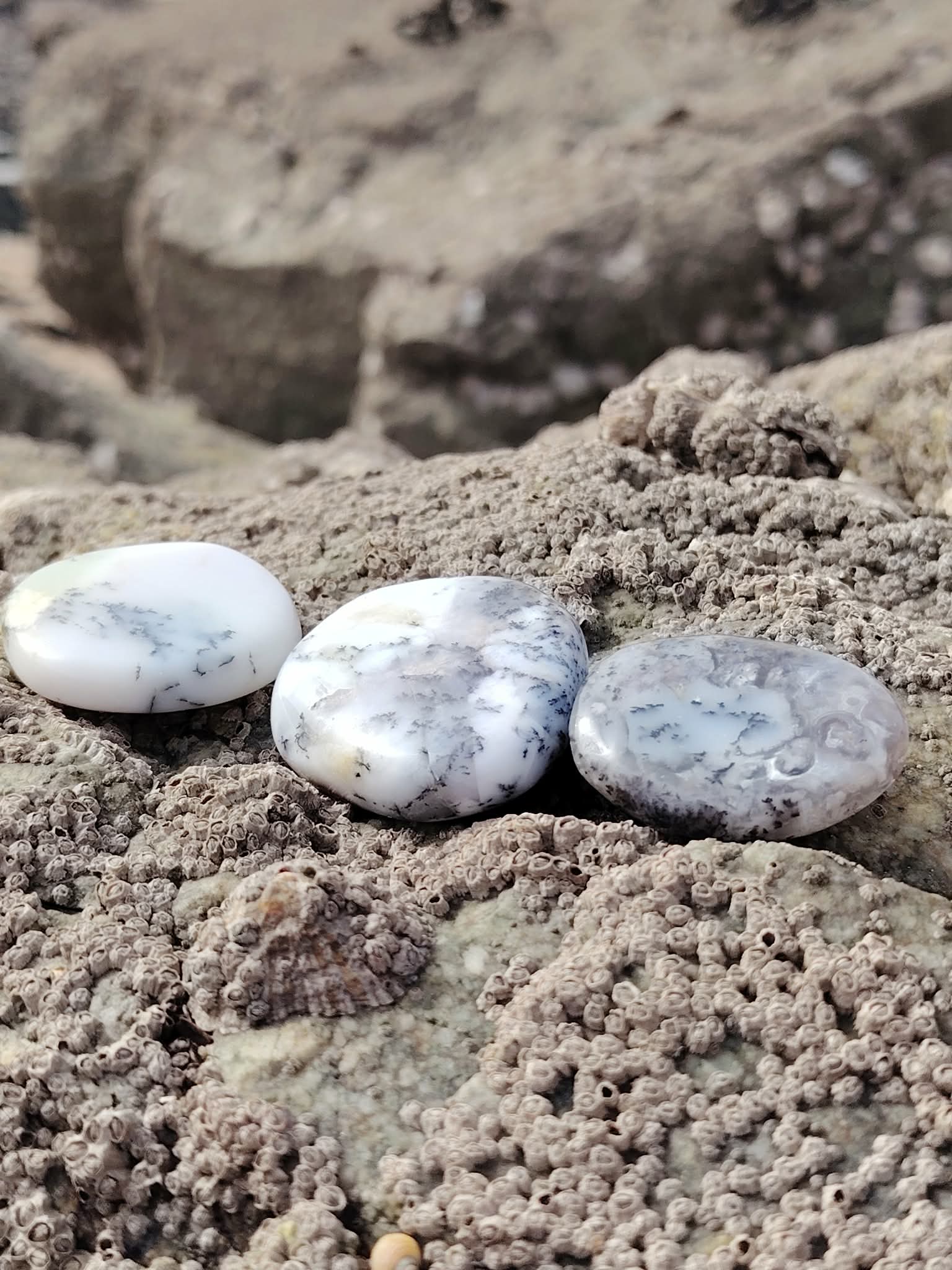 Galets de calcédoine dendritique alignés sur les rochers en Bretagne, pierres naturelles évoquant la stabilité, la concentration paisible et l’ancrage doux.