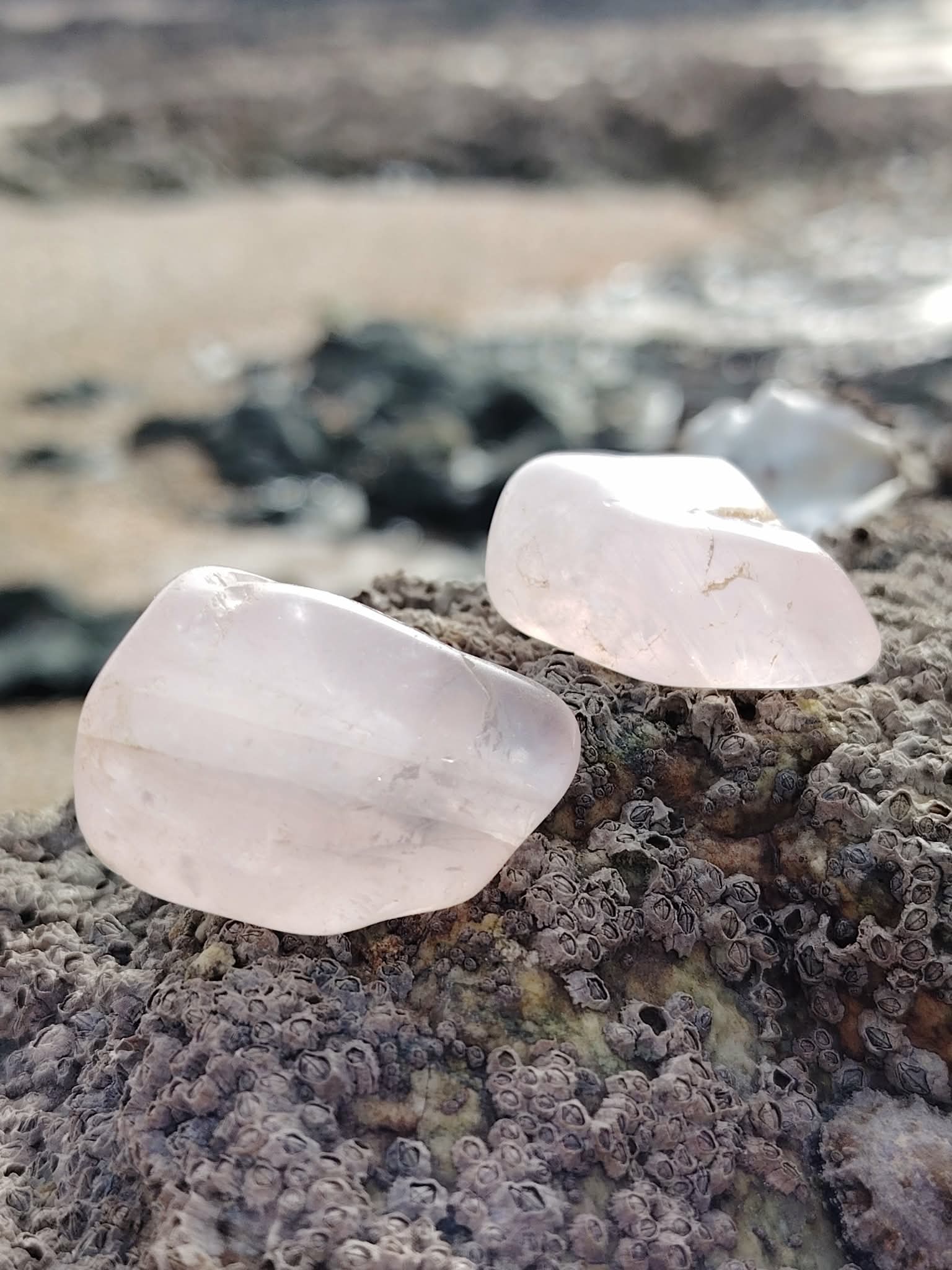 Pierres roulées en quartz rose naturel posées sur une roche en bord de mer en Bretagne, pierres naturelles associées à la douceur, à la paix intérieure et à l’équilibre affectif.