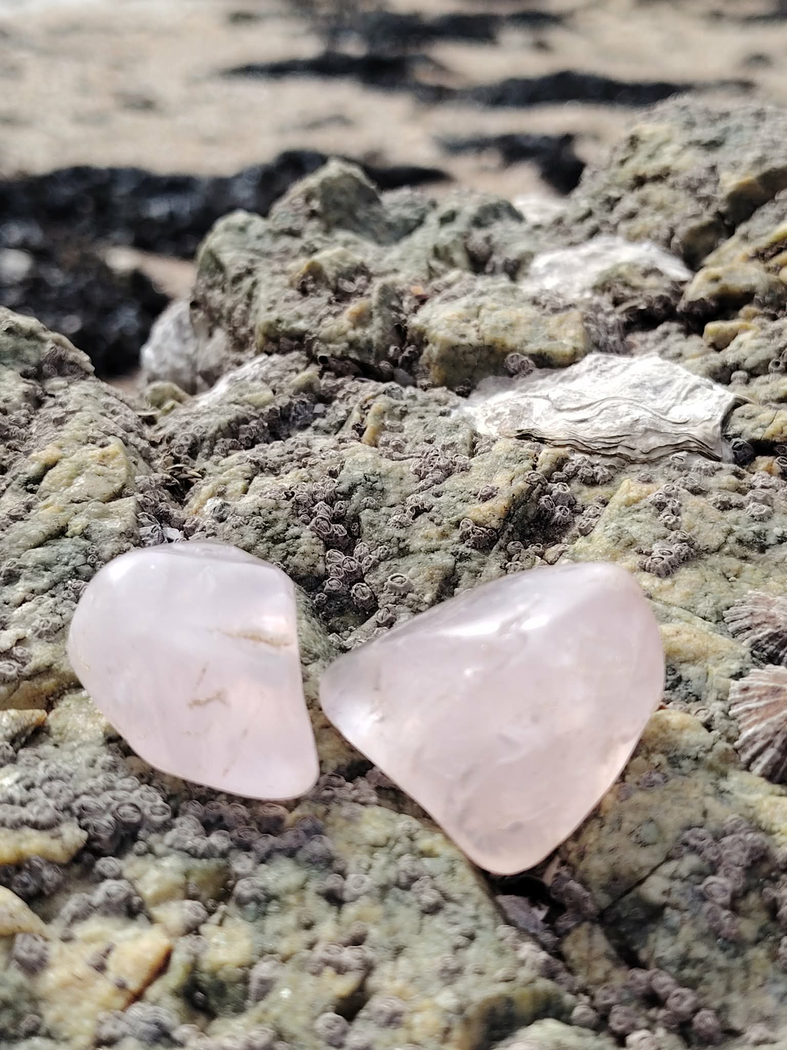 Deux pierres roulées en quartz rose naturel posées sur une roche en Bretagne, pierres naturelles évoquant la consolation, la sensibilité apaisée et la sérénité intérieure.