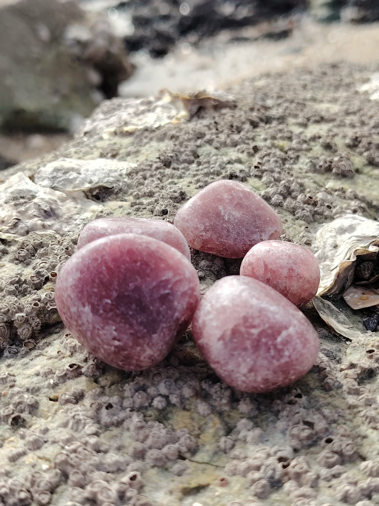 Pierres roulées en quartz fraise naturel posées sur une roche en Bretagne, pierres naturelles associées au réconfort, à la sensibilité apaisée et à l’harmonie intérieure.