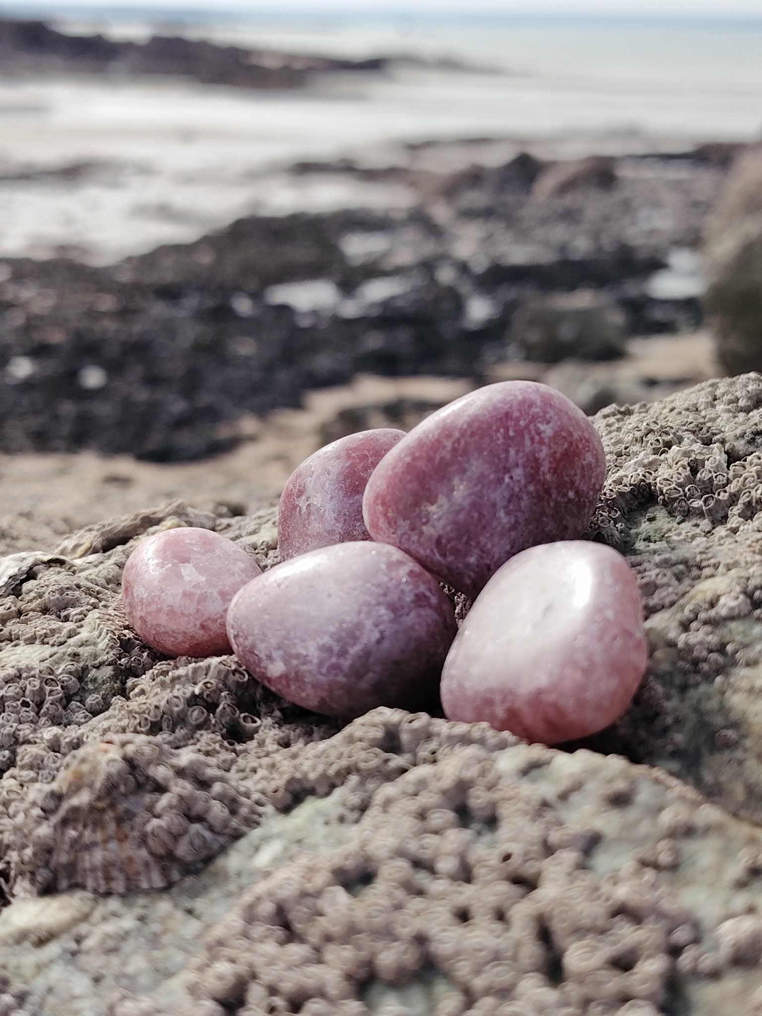 Pierres roulées en quartz fraise posées sur une roche en bord de mer en Bretagne, pierres naturelles associées à la douceur, à la joie intérieure et à l’équilibre affectif.