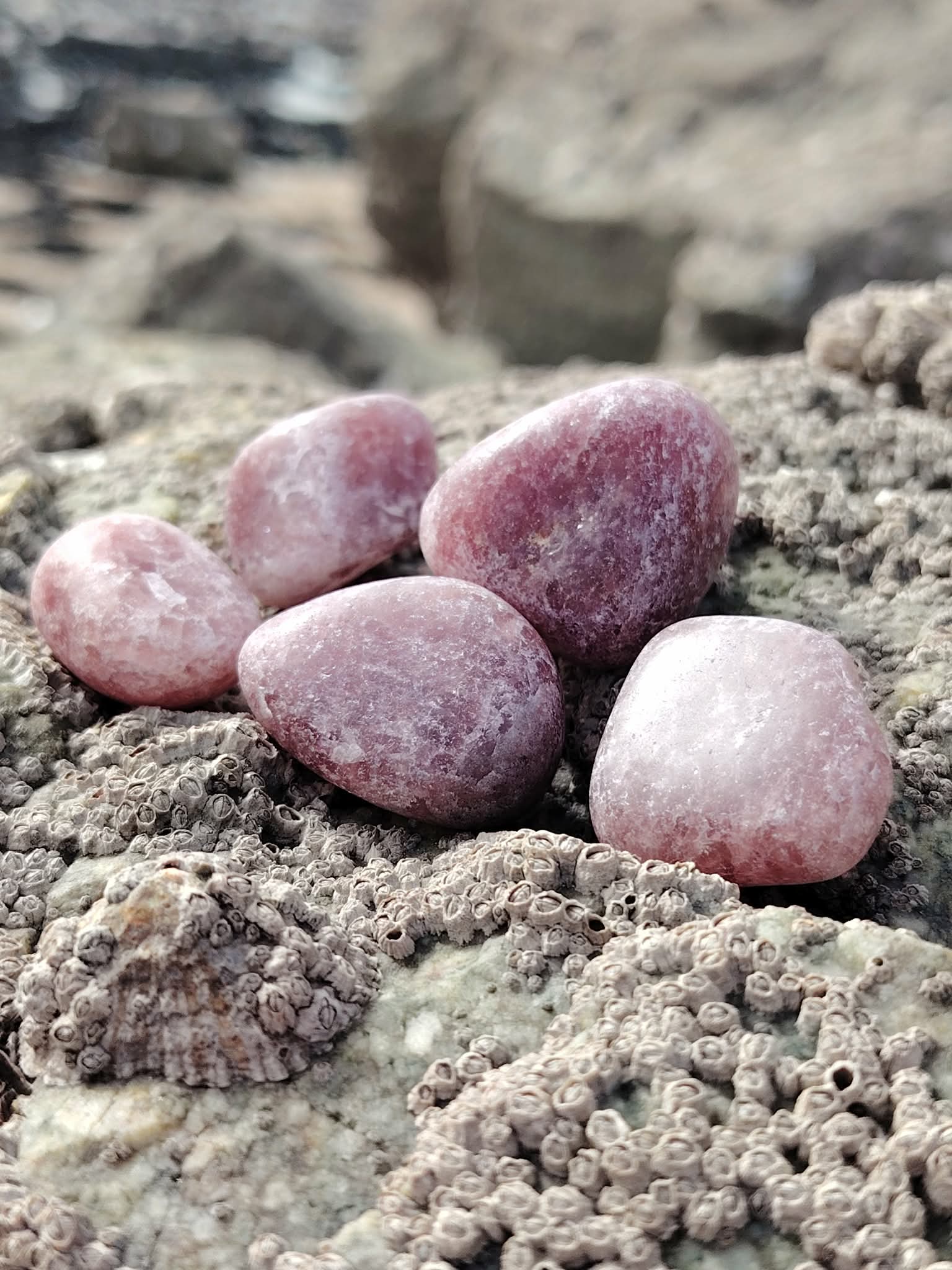 Pierres roulées en quartz fraise naturel sur roche en Bretagne, pierres naturelles évoquant l’amour de soi, la tendresse émotionnelle et la sérénité du cœur.