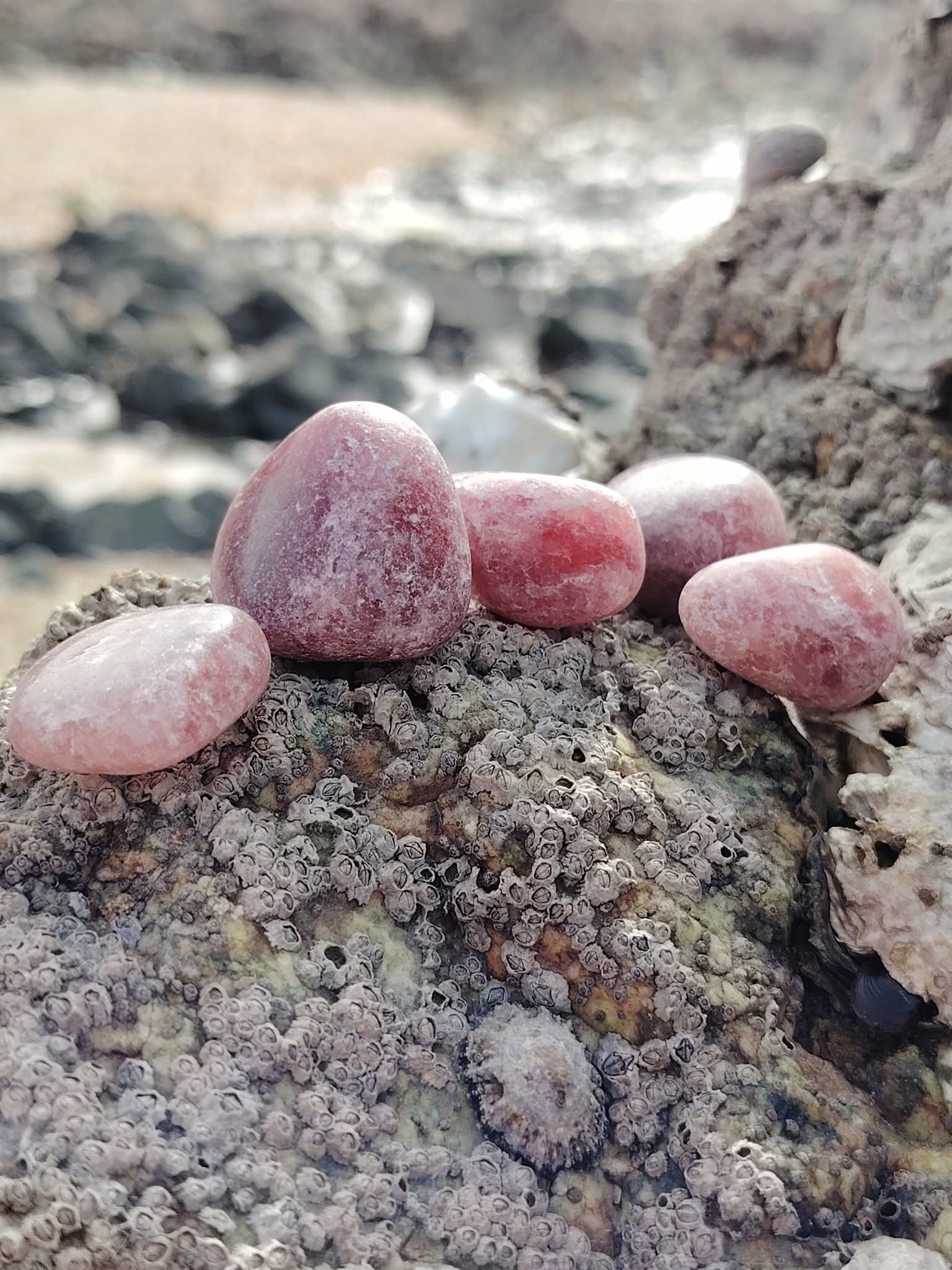 Pierres roulées en quartz fraise naturel posées sur une roche au bord de la mer en Bretagne, pierres naturelles liées à la vitalité douce, à l’élan affectif et à la chaleur intérieure.