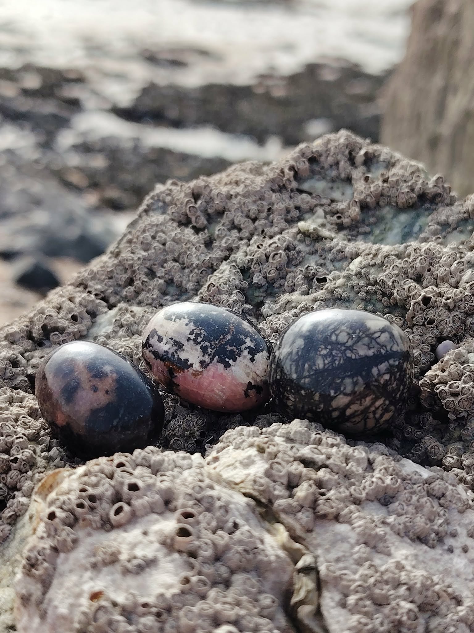 Pierres roulées rhodonite aux nuances rose et noir posées sur des rochers en Bretagne, évoquant apaisement, ancrage et équilibre émotionnel.