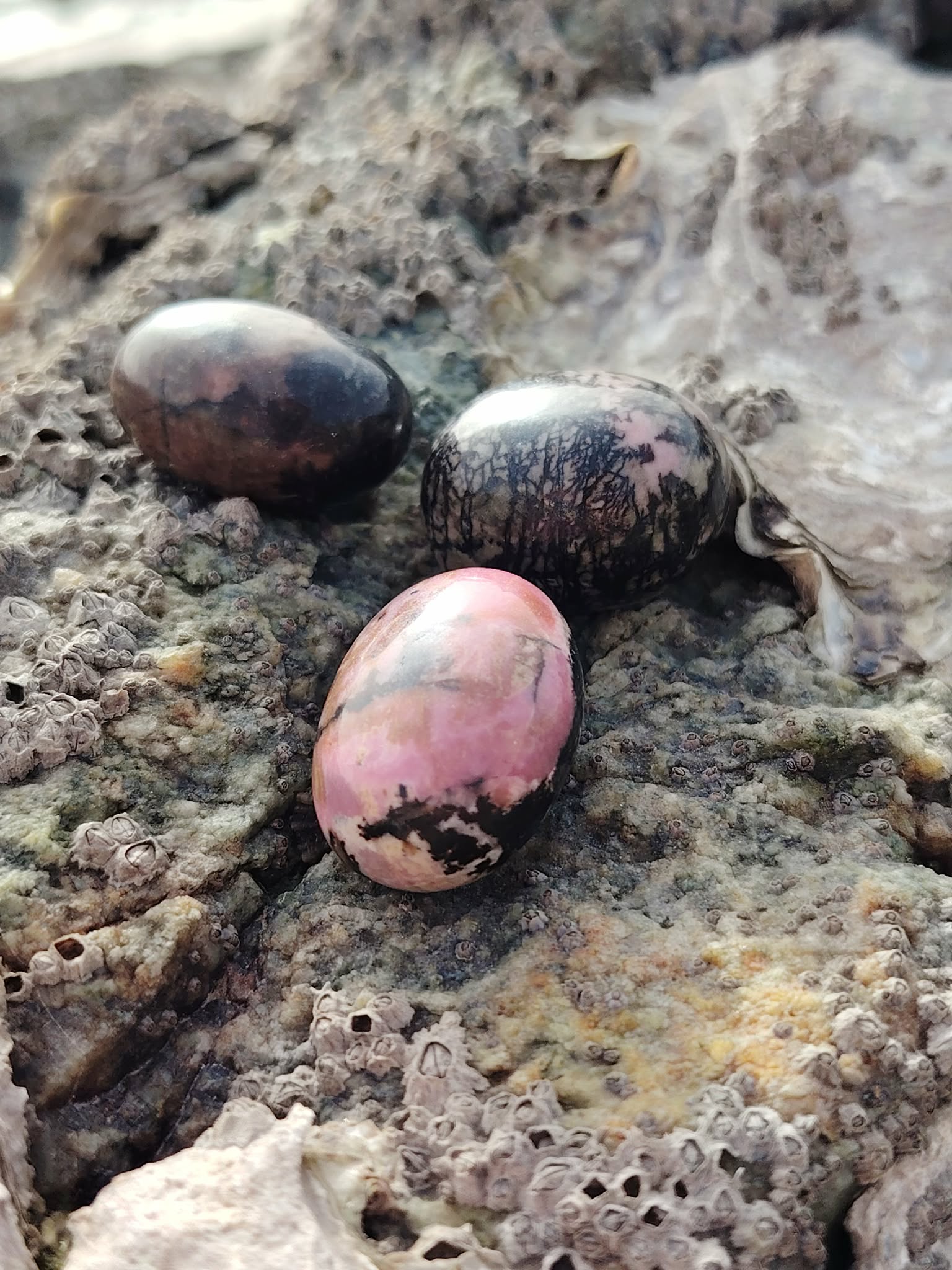 Trois pierres roulées rhodonite aux nuances rose et noir posées sur la roche en Bretagne, évoquant apaisement, ancrage et harmonie intérieure.