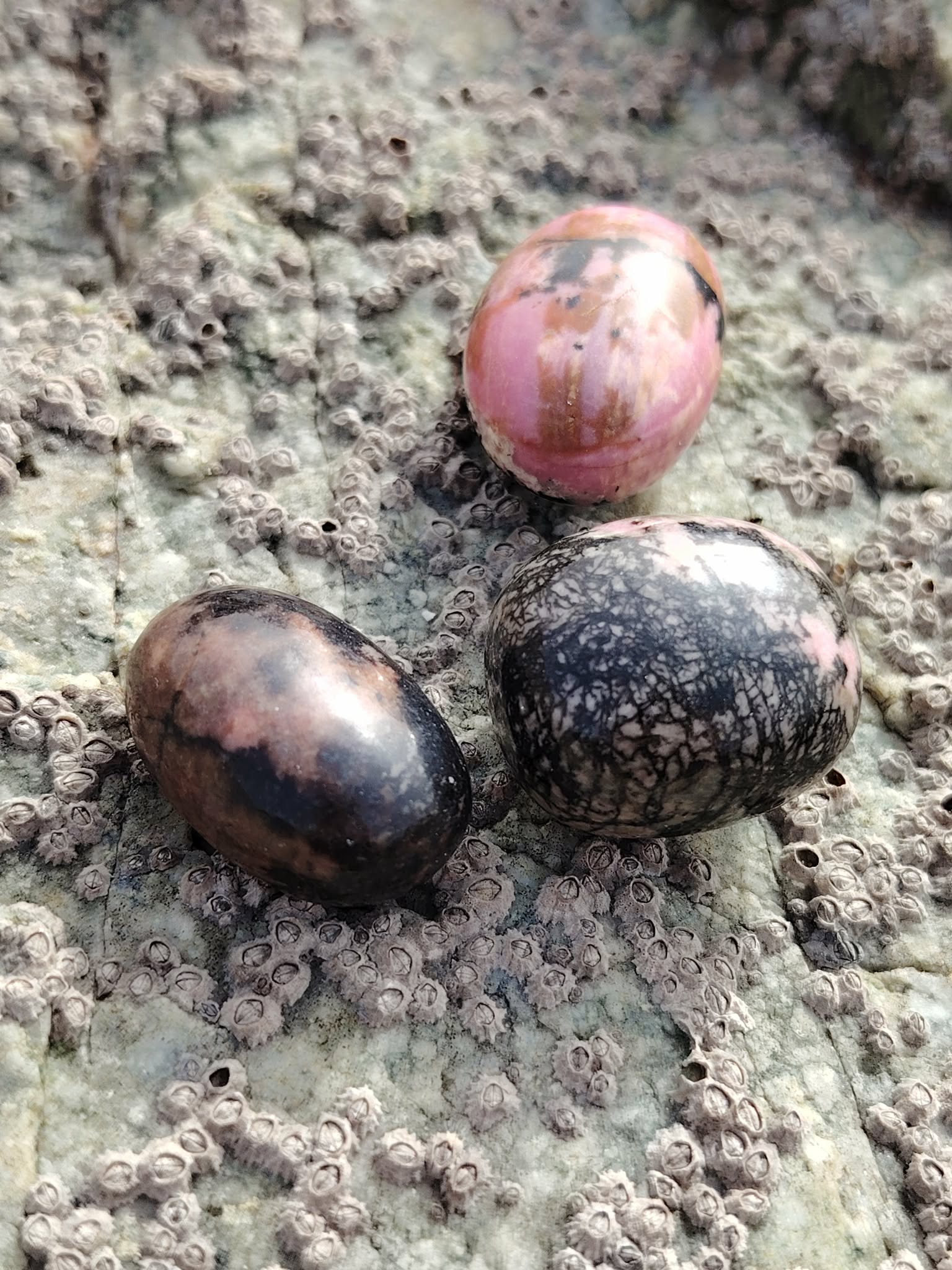 Trois pierres roulées rhodonite aux nuances rose et noir posées sur une roche en extérieur, évoquant apaisement, équilibre émotionnel et ancrage.