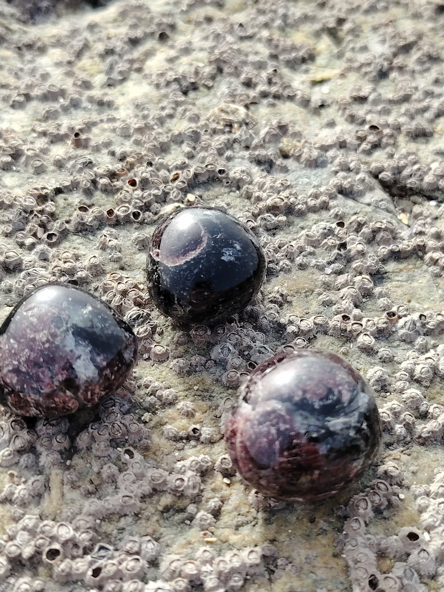 Trois pierres roulées de grenat almandin posées sur roche en Bretagne, pierres naturelles évoquant l’endurance, la stabilité émotionnelle et la puissance intérieure.
