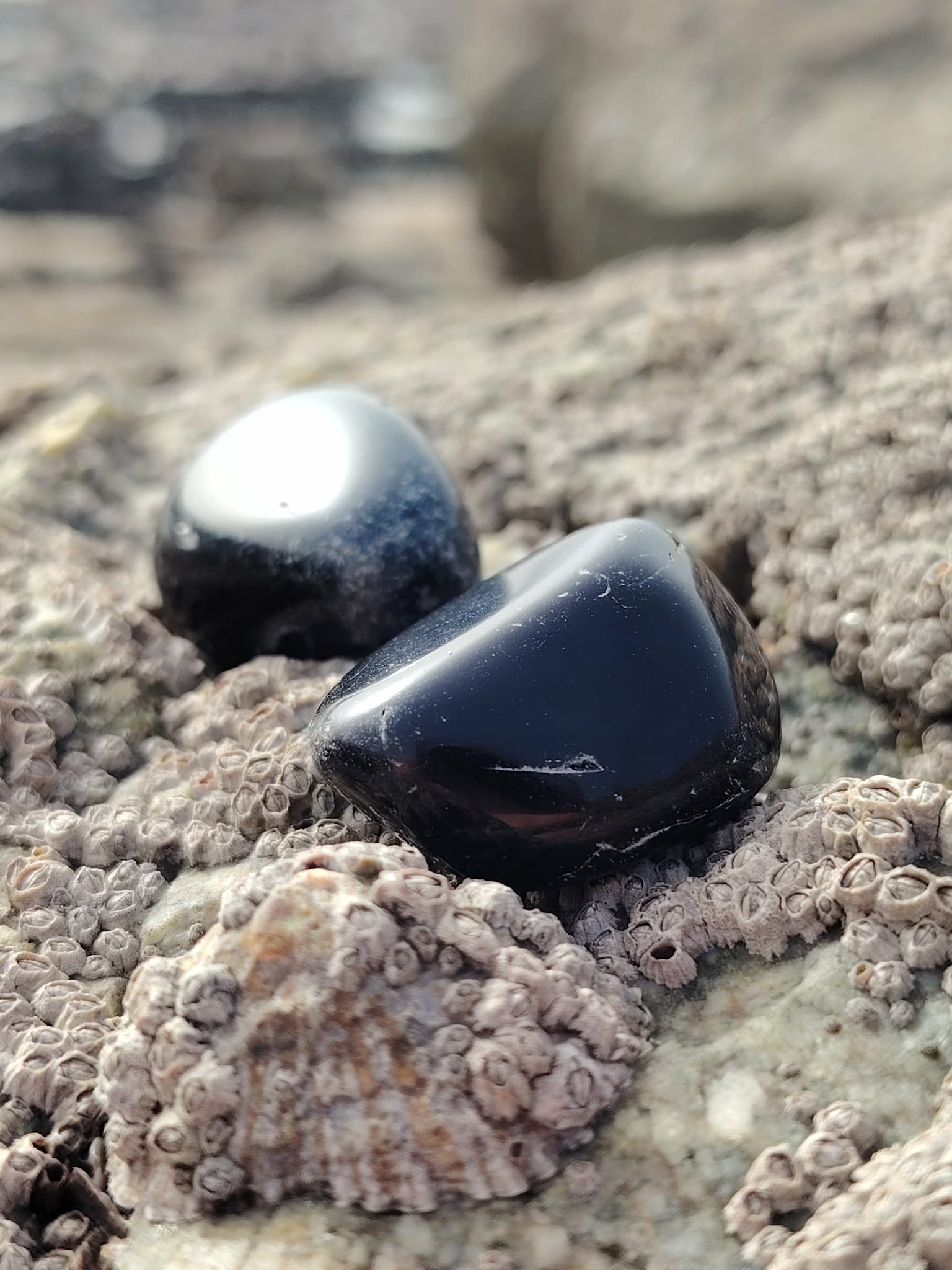 Pierre roulée d’obsidienne noire posée sur un rocher breton en lumière naturelle, pierre naturelle associée à la protection, à la stabilité intérieure et à la présence à soi.