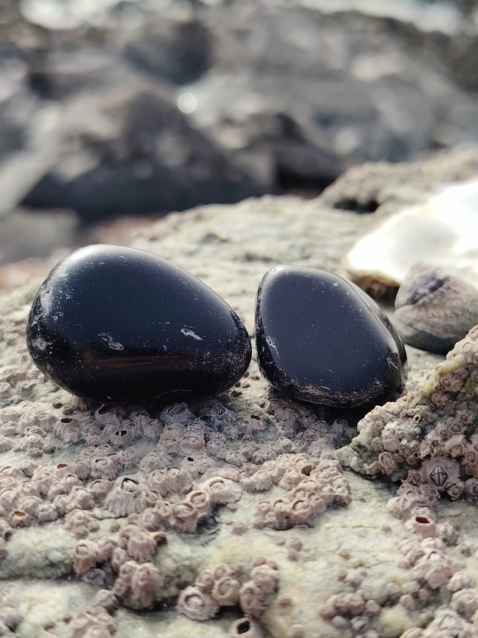 Pierre roulée d’obsidienne noire sur roche bretonne dans un décor minéral naturel, pierre naturelle associée à l’enracinement, au calme du mental et à l’équilibre intérieur.