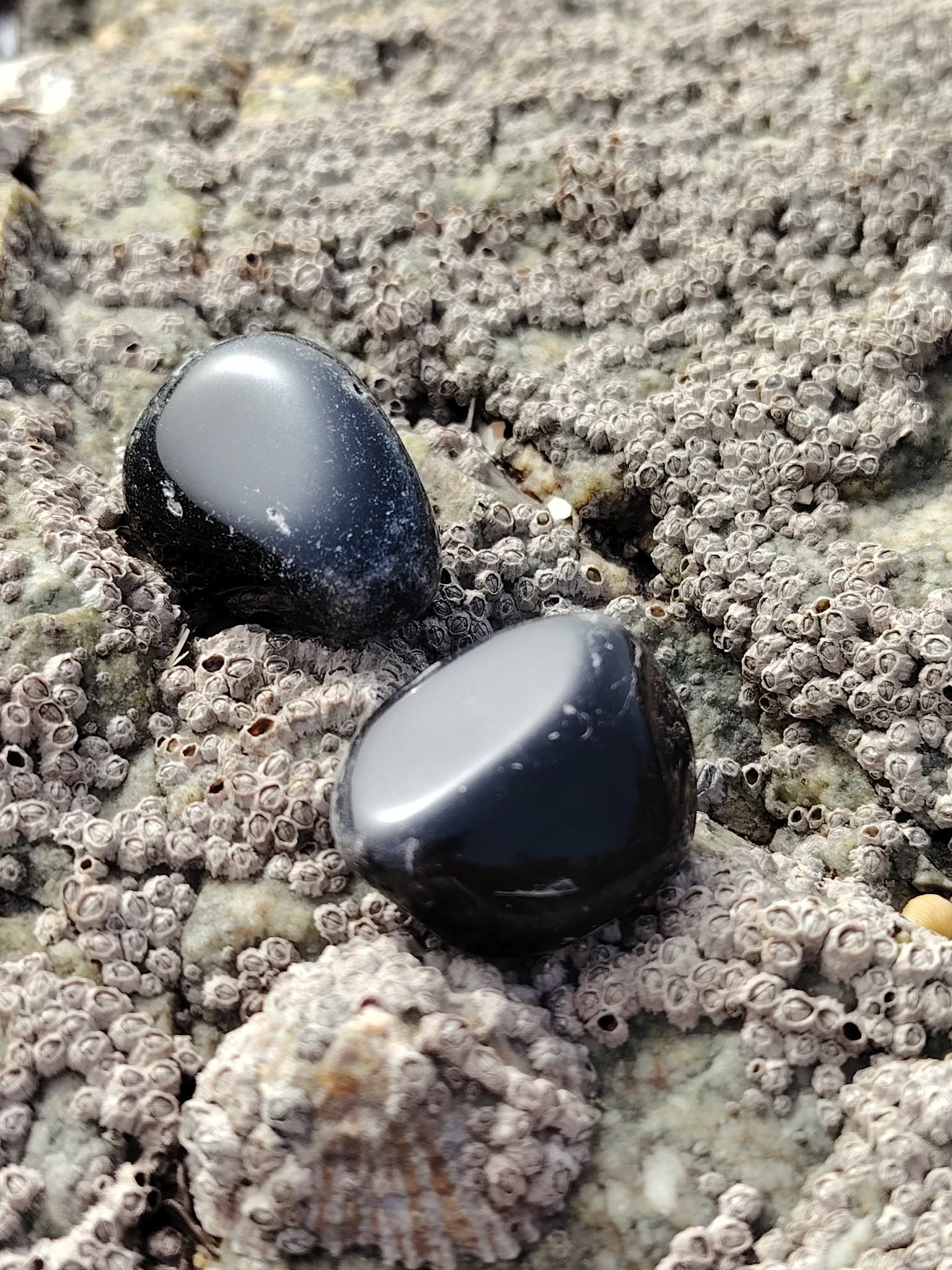 Pierre roulée d’obsidienne noire sur roche bretonne sous lumière naturelle, pierre naturelle évoquant la maîtrise de soi, la solidité émotionnelle et la protection subtile.