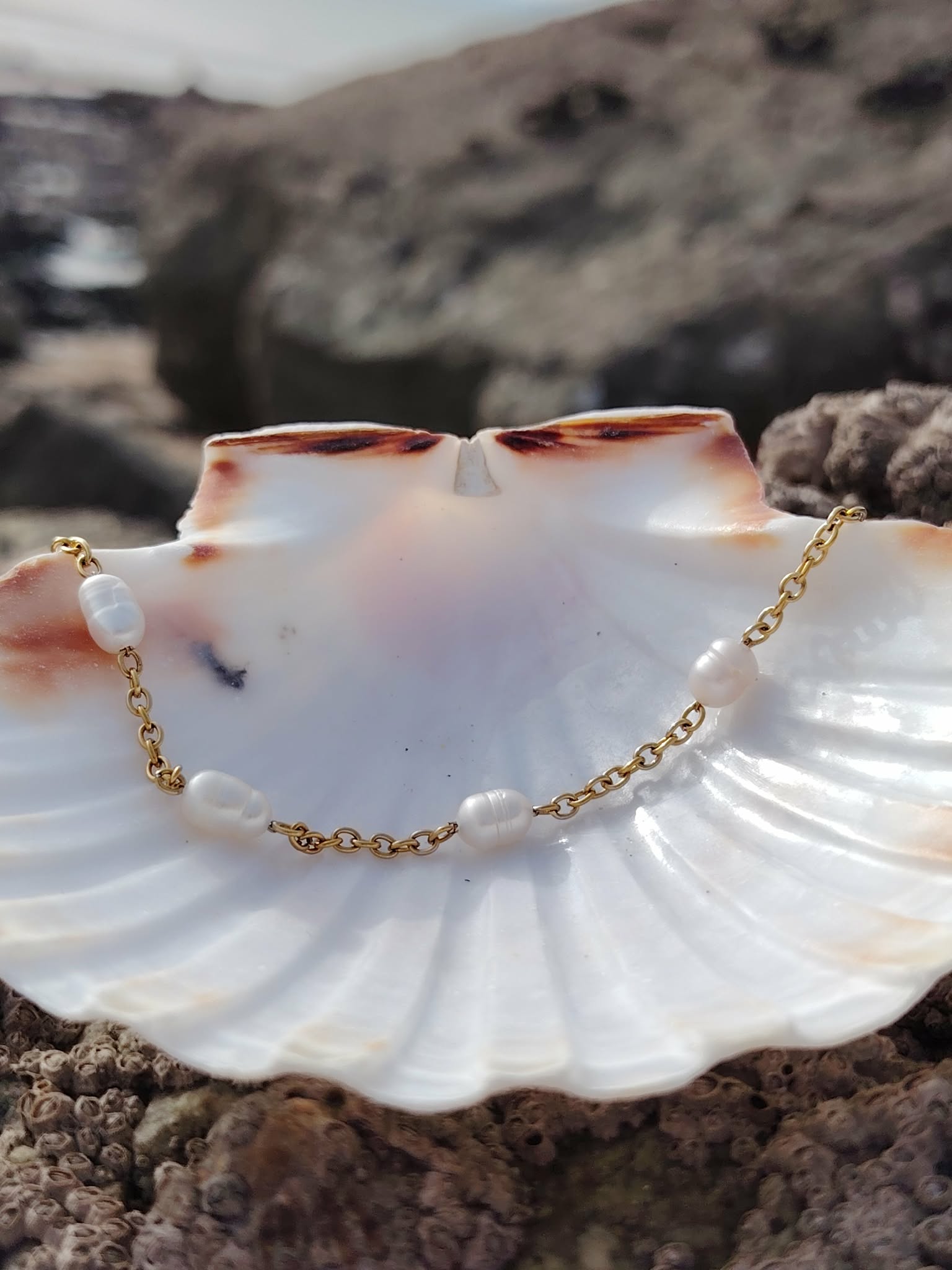Bracelet eau douce en acier inoxydable et nacre posé sur un coquillage blanc en Bretagne, sur fond rocheux naturel, dans une lumière douce, évoquant sérénité et harmonie.