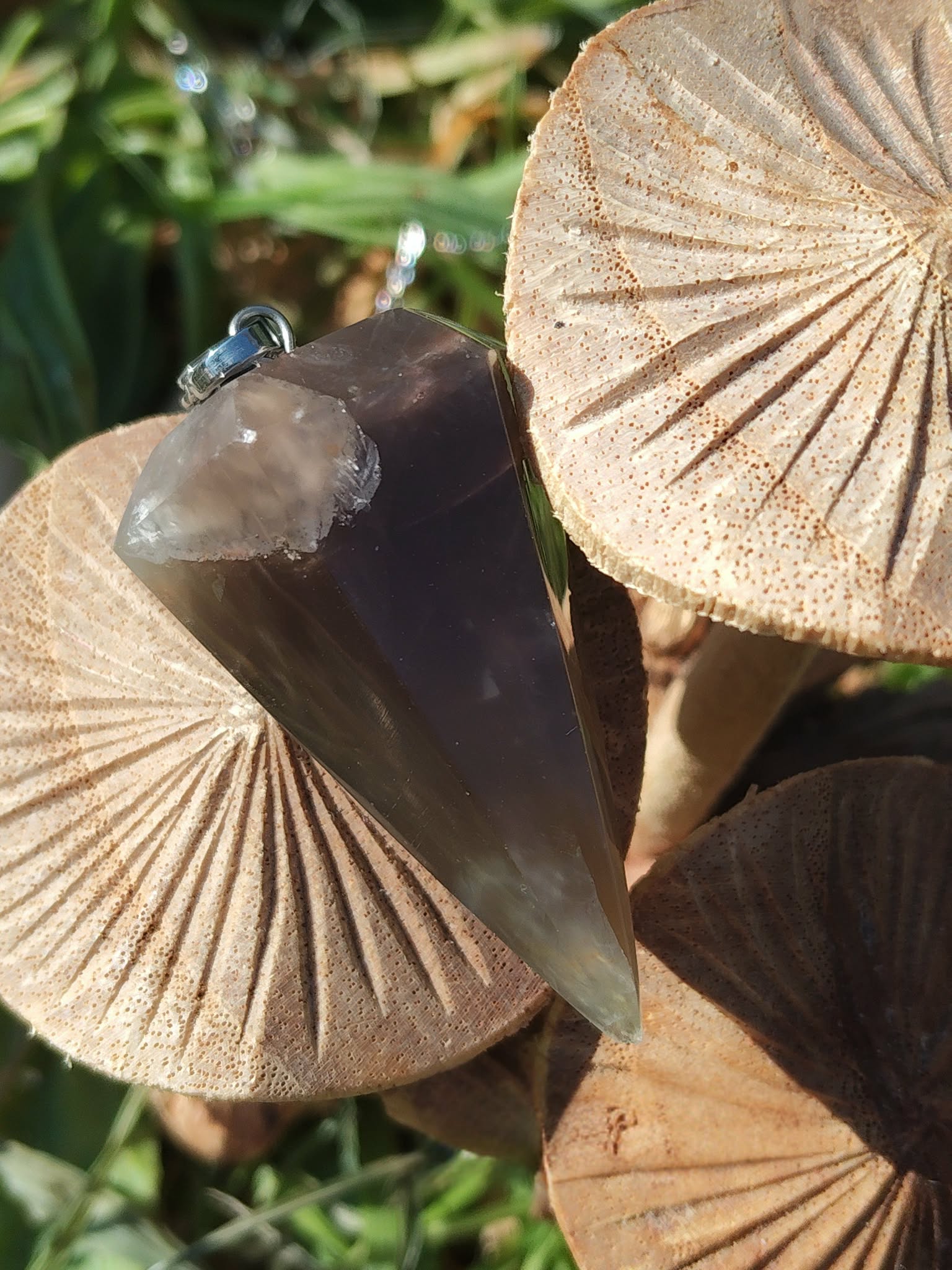 Pendule en pierre de lune noire suspendu devant des champignons en bois décoratifs aux teintes naturelles, dans une ambiance chaleureuse et mystique, évoquant l’intuition, l’ancrage et la protection intérieure