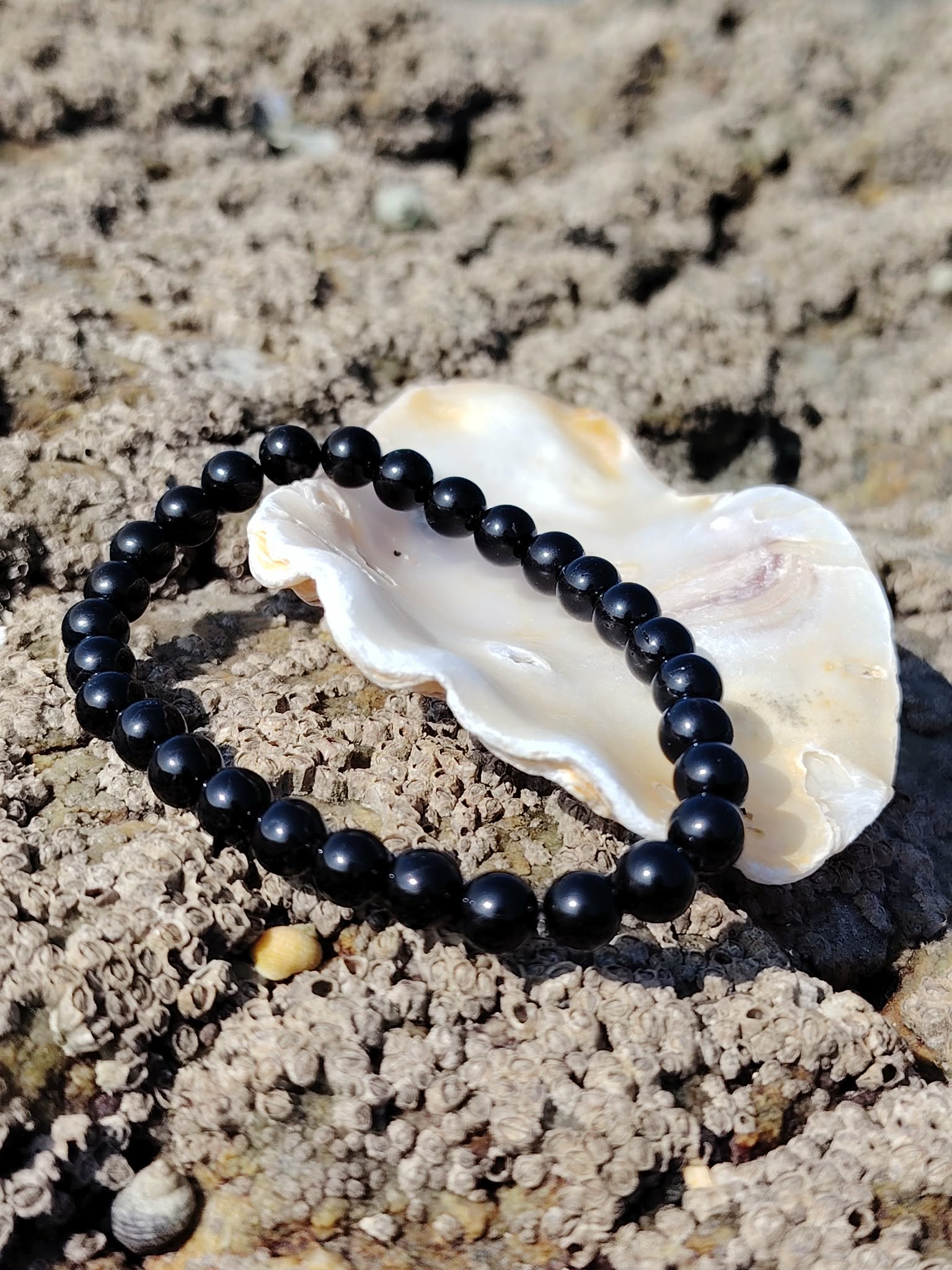 Bracelet tourmaline noire 6 mm autour d’un coquillage blanc sur écorce claire texturée, protection douce et maintien face aux ambiances lourdes