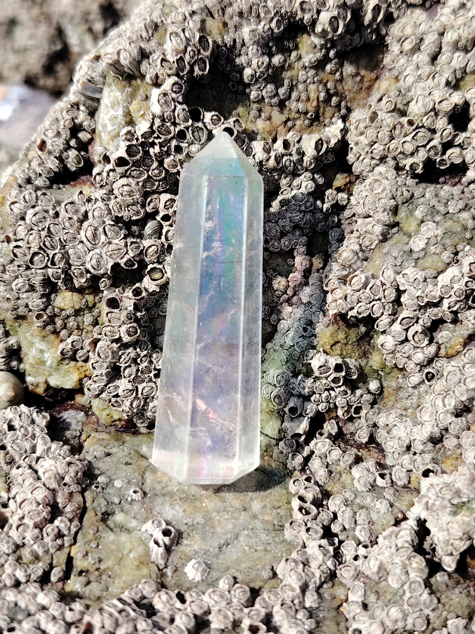 Pointe Angel Aura dressée entre les rochers en Bretagne, cristal lumineux aux reflets changeants associé au recentrage, à la fraîcheur mentale et à l’harmonie intérieure.