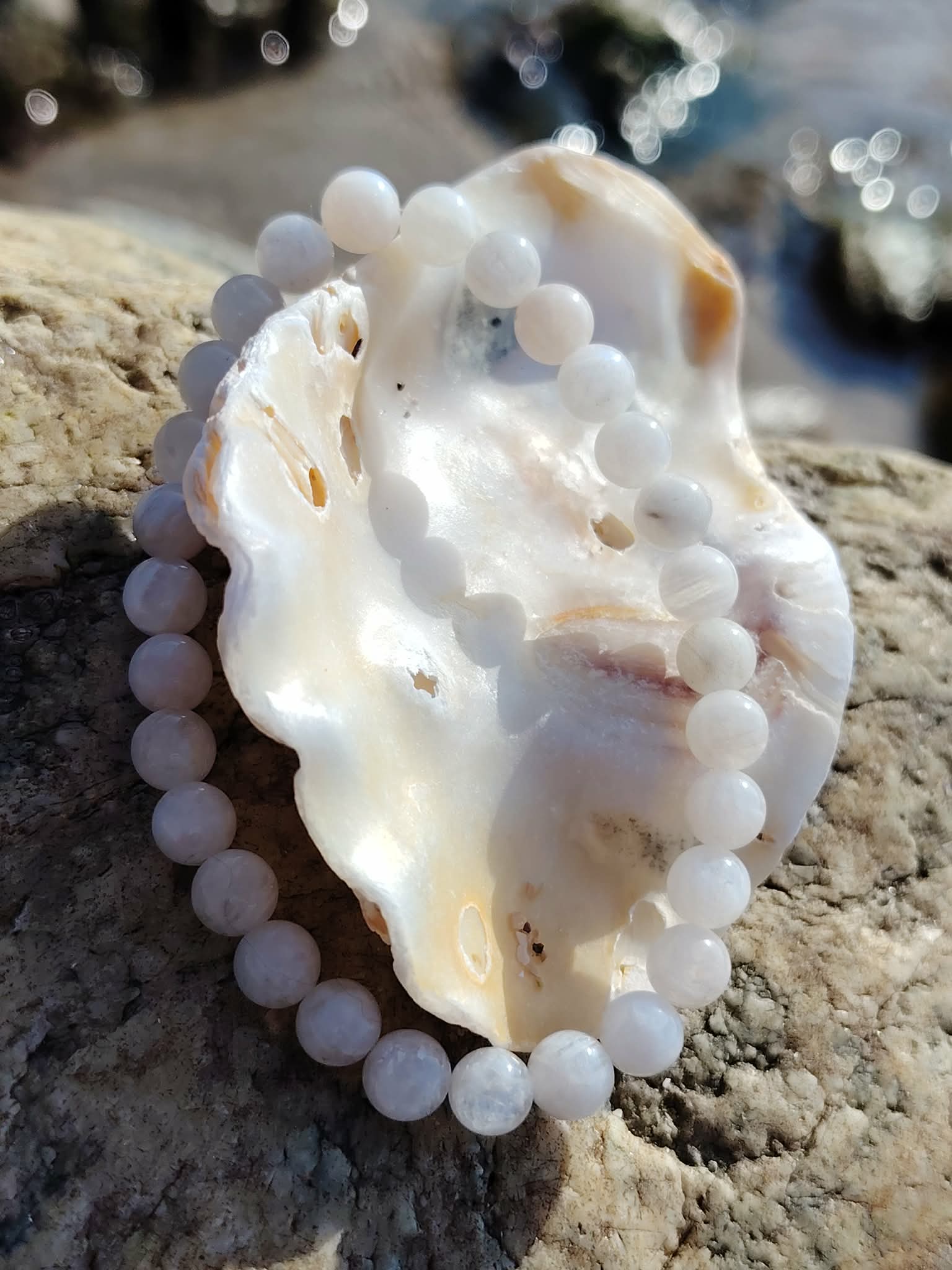 Bracelet pierre de lune 6 mm blanc nacré irisé en perles rondes présenté sur un coquillage posé sur un rocher, dans une ambiance marine naturelle, évoquant l’intuition, la douceur