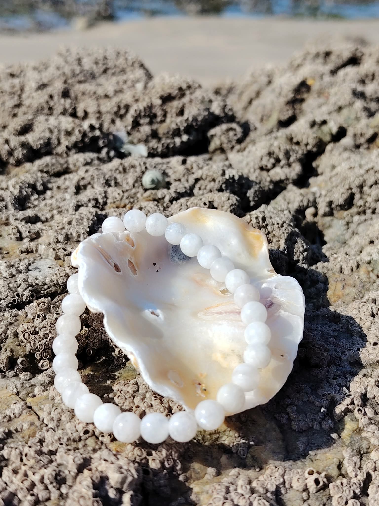 Bracelet pierre de lune 6 mm blanc nacré en perles rondes posé sur une écorce en lumière naturelle, photo Bretagne, évoquant la réceptivité, la féminité sacrée et la paix intérieure