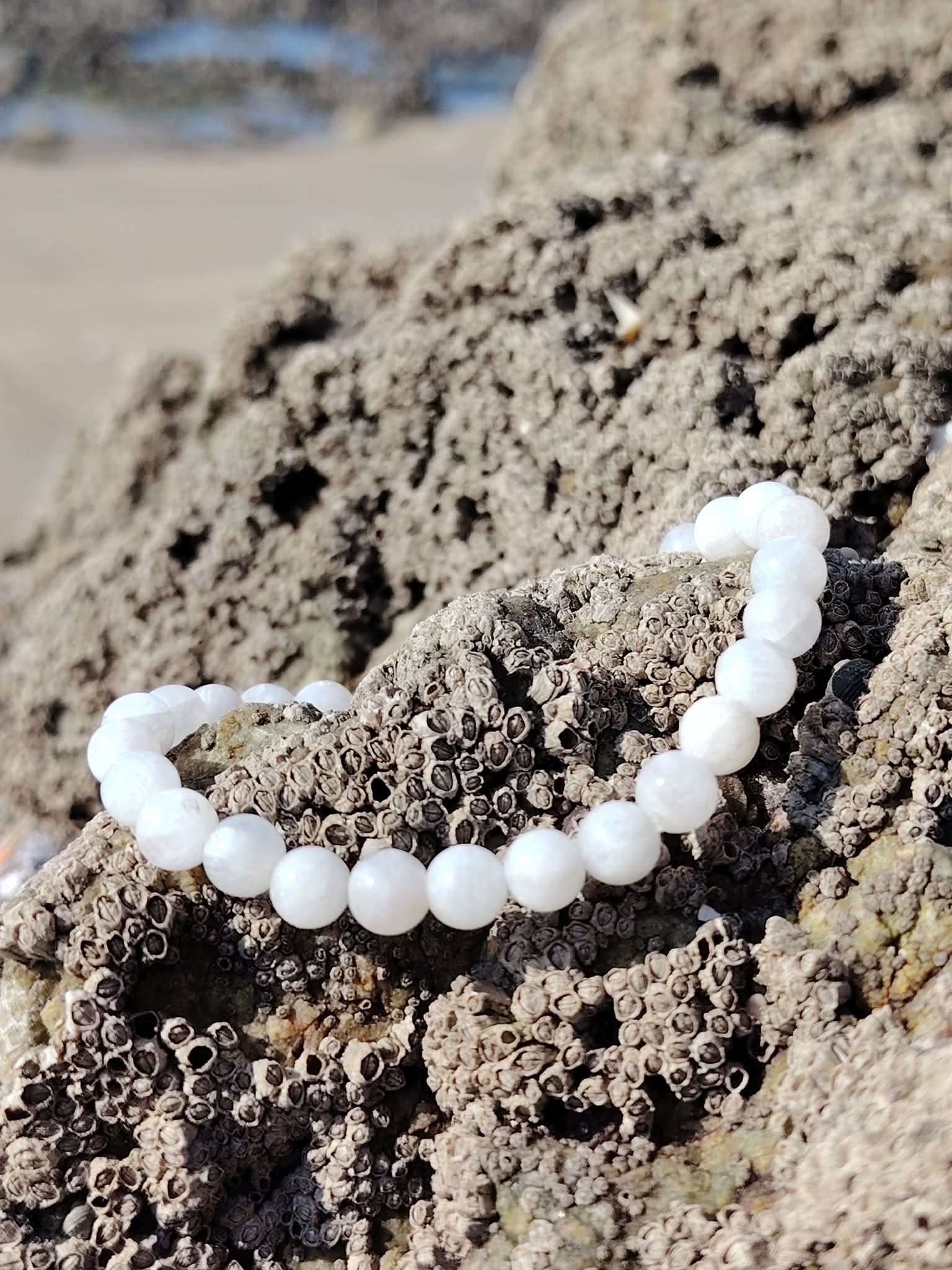 Bracelet pierre de lune 6 mm blanc nacré en perles rondes posé sur une écorce en lumière naturelle, photo Bretagne, évoquant la réceptivité, la féminité sacrée