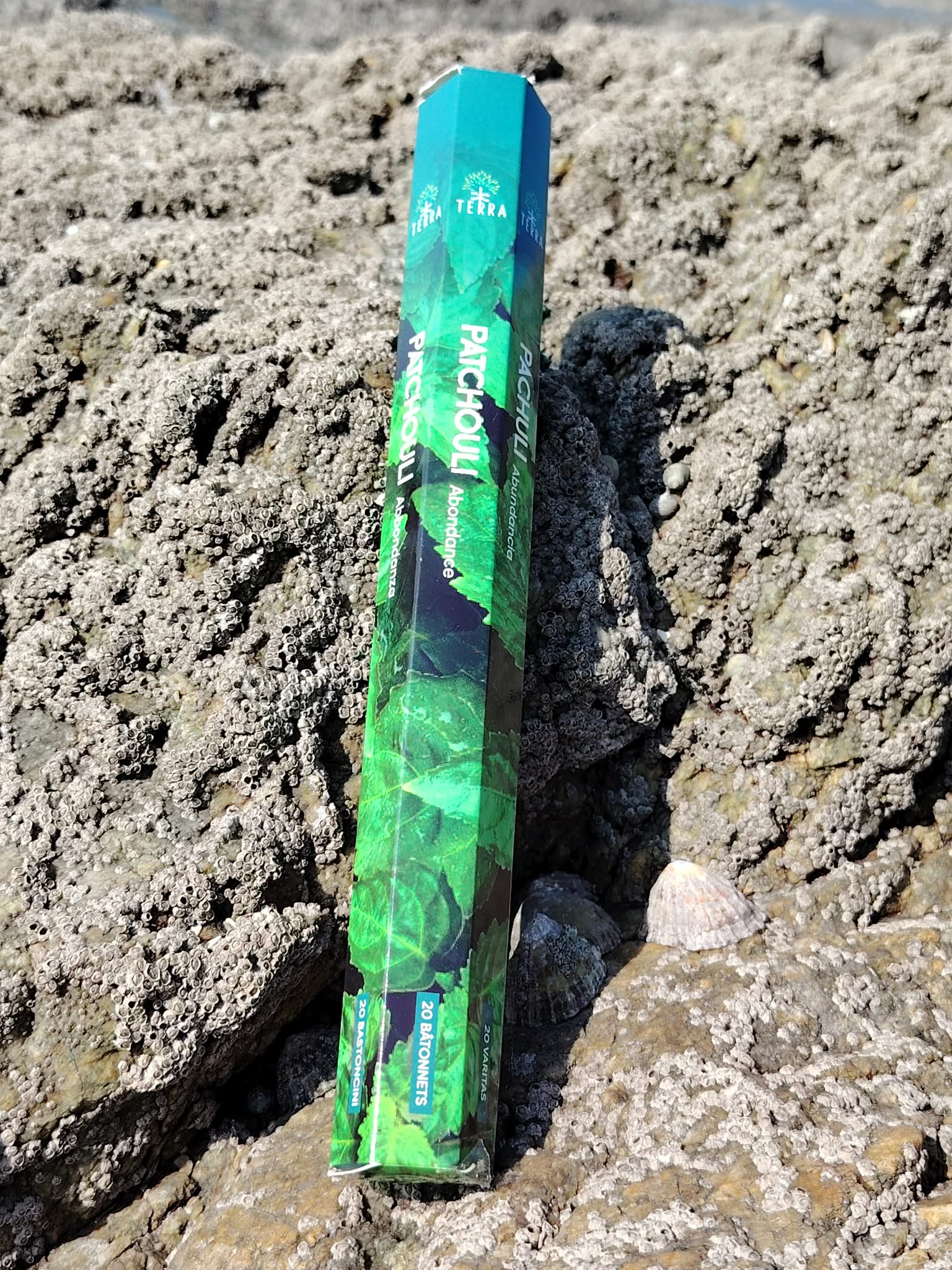 Encens Terra Patchouli sans charbon posé sur roche en Bretagne, photo naturelle évoquant ancrage, purification et apaisement.