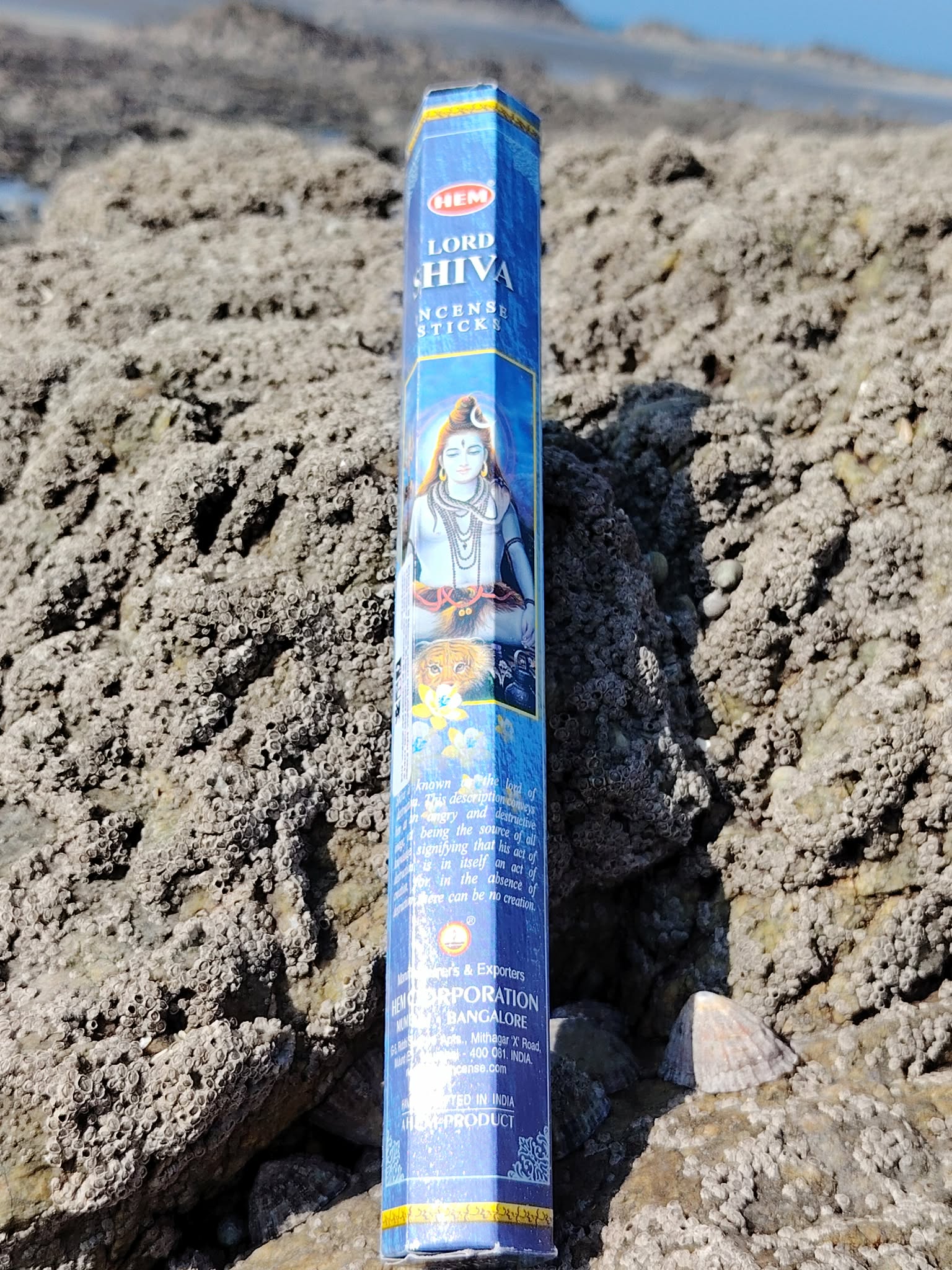 Encens Shiva dressé sur les rochers en Bretagne, face à l’horizon marin, photo spirituelle évoquant purification et force intérieure.