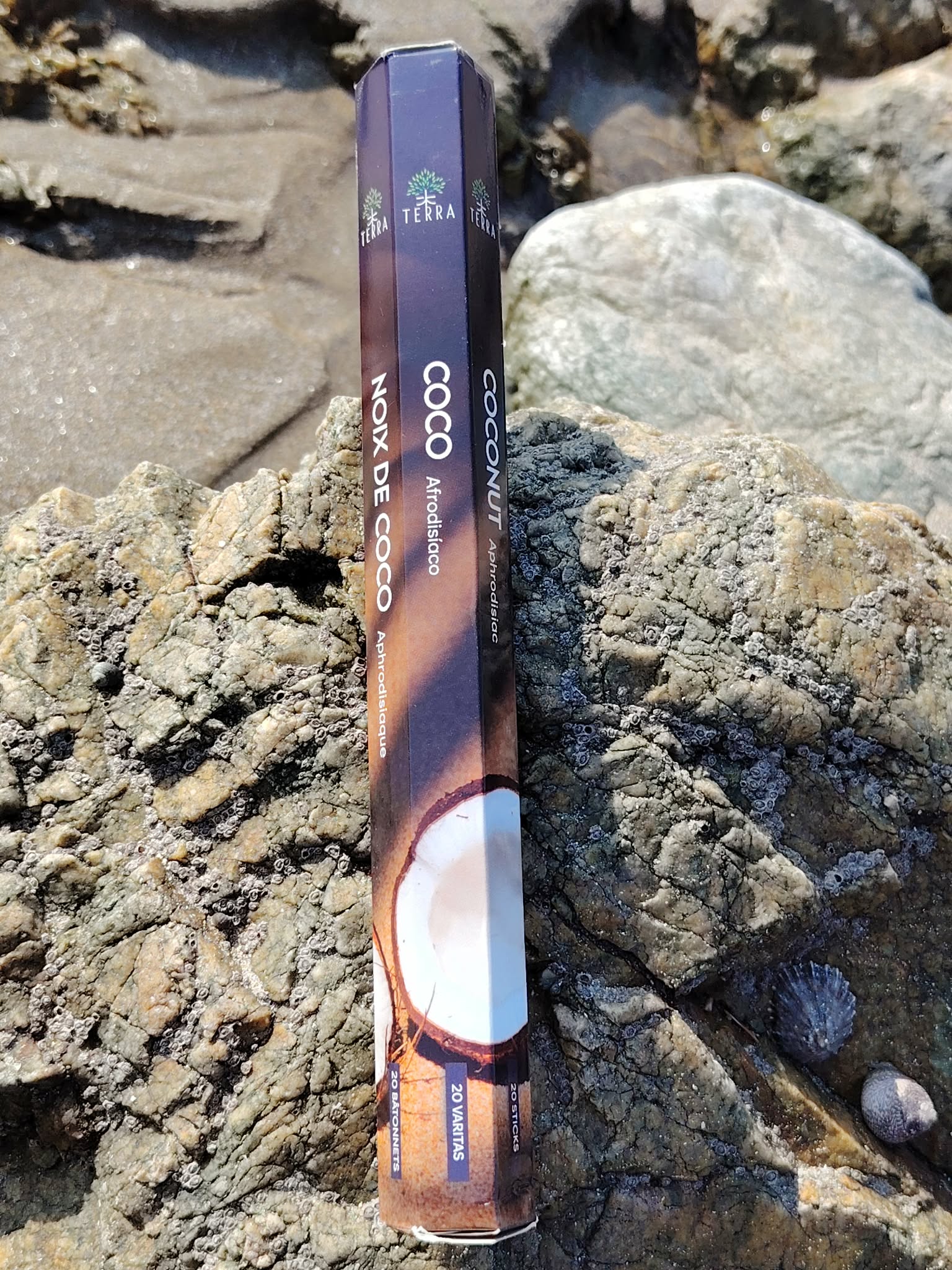 Encens Terra Coco sans charbon posé sur les rochers en Bretagne, photo naturelle évoquant douceur, purification et détente.