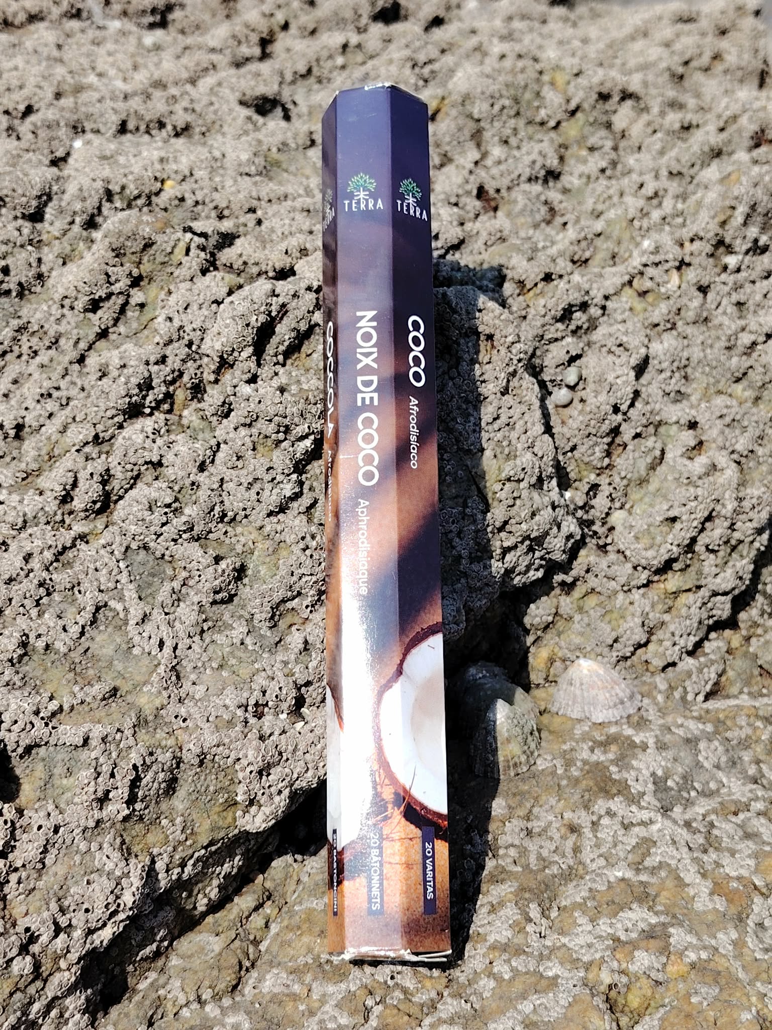 Encens Terra Coco sans charbon posé sur roche en Bretagne, photo minérale évoquant douceur, recentrage et purification.
