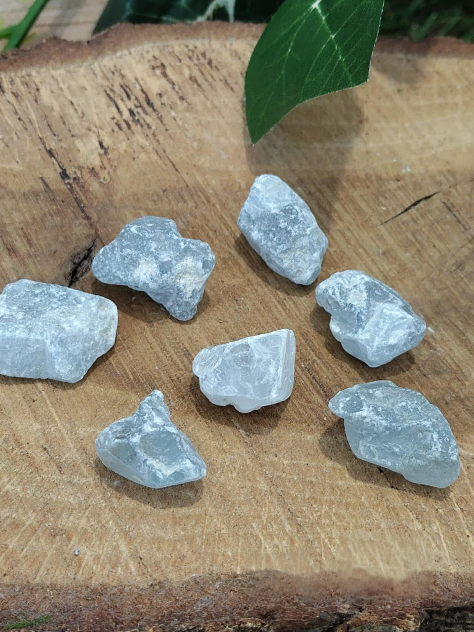 Pierres brute de célestine bleu ciel posée sur un support en bois, sous une feuille verte, évoquant calme, réconfort et paix intérieure.