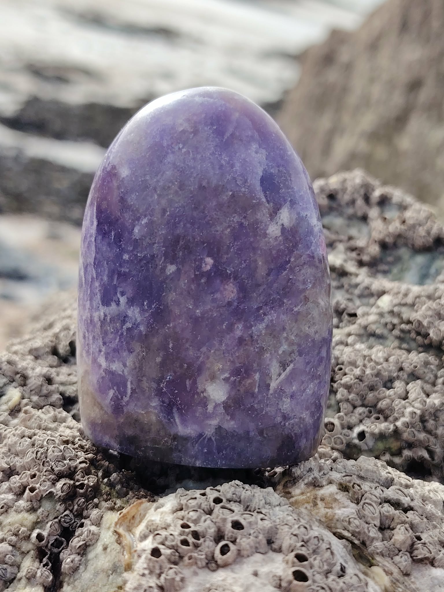 Lépidolite forme libre violette posée sur roche bretonne au bord de la mer, pierre naturelle aux nuances lilas associée au réconfort, au relâchement et à la paix intérieure.