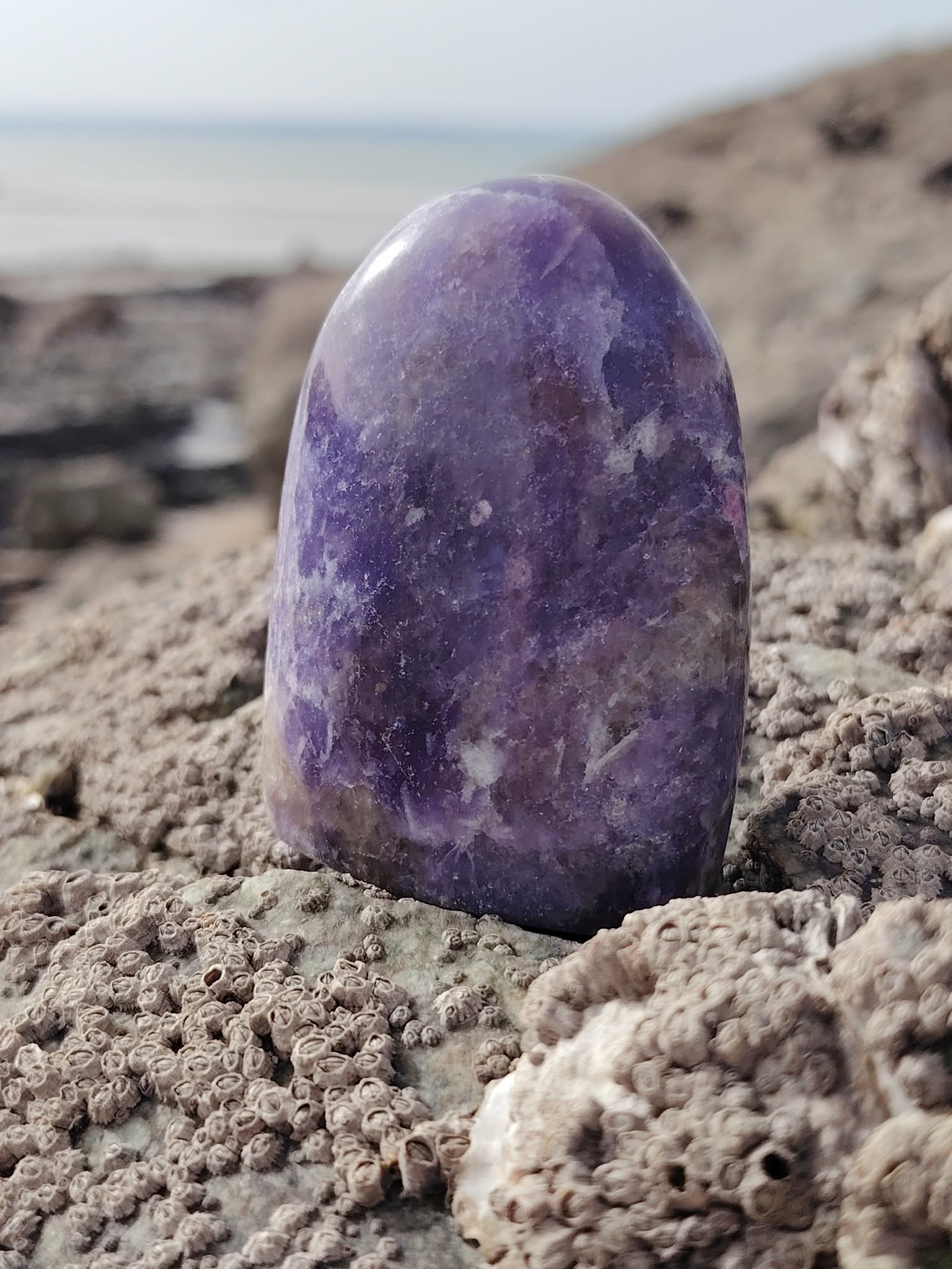 Lépidolite forme libre violette posée sur roche bretonne en bord de mer, pierre naturelle associée au calme intérieur, au recentrage et à la douceur émotionnelle.