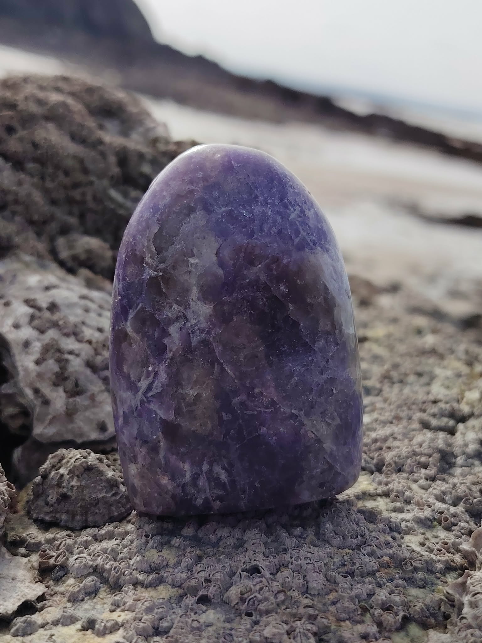 Lépidolite forme libre polie posée sur rocher en bord de plage, pierre naturelle reliée à la détente, au recentrage et à la douceur du cœur.