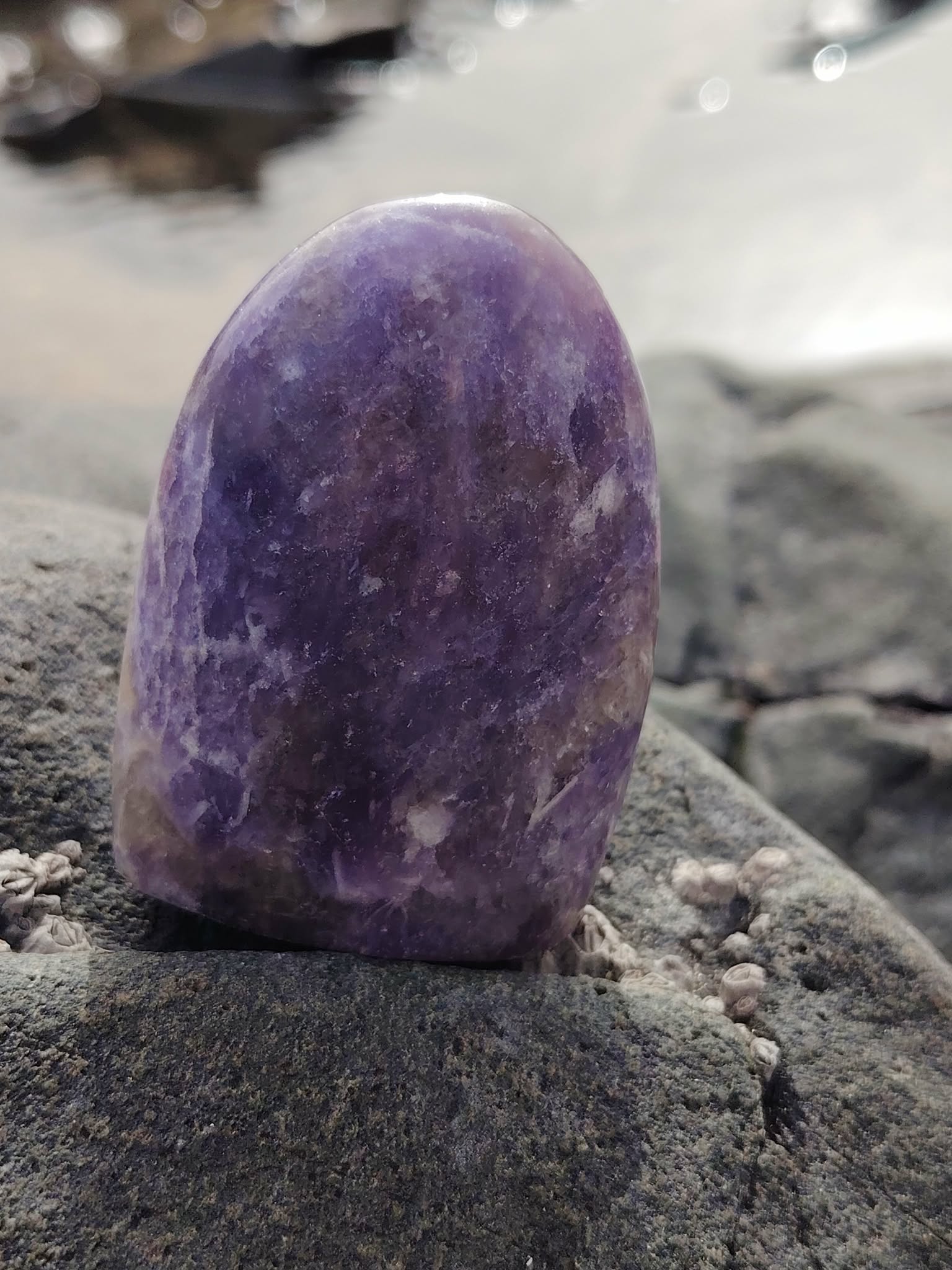 Lépidolite forme libre violette posée sur roche sombre au bord de l’eau, pierre naturelle associée au calme des pensées, à l’équilibre émotionnel et au recentrage.