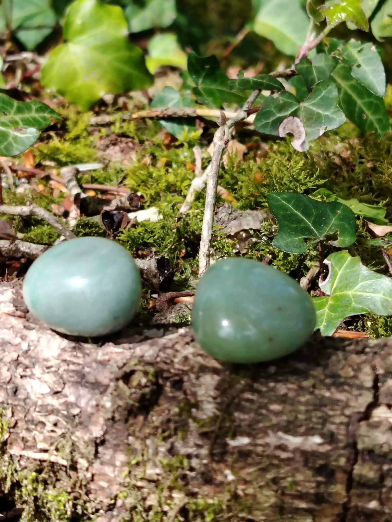 Deux aventurines vertes polies sur écorce avec mousse et lierre, pierres roulées pour adoucir les tensions du cœur, gagner en souplesse et avancer plus sereinement.