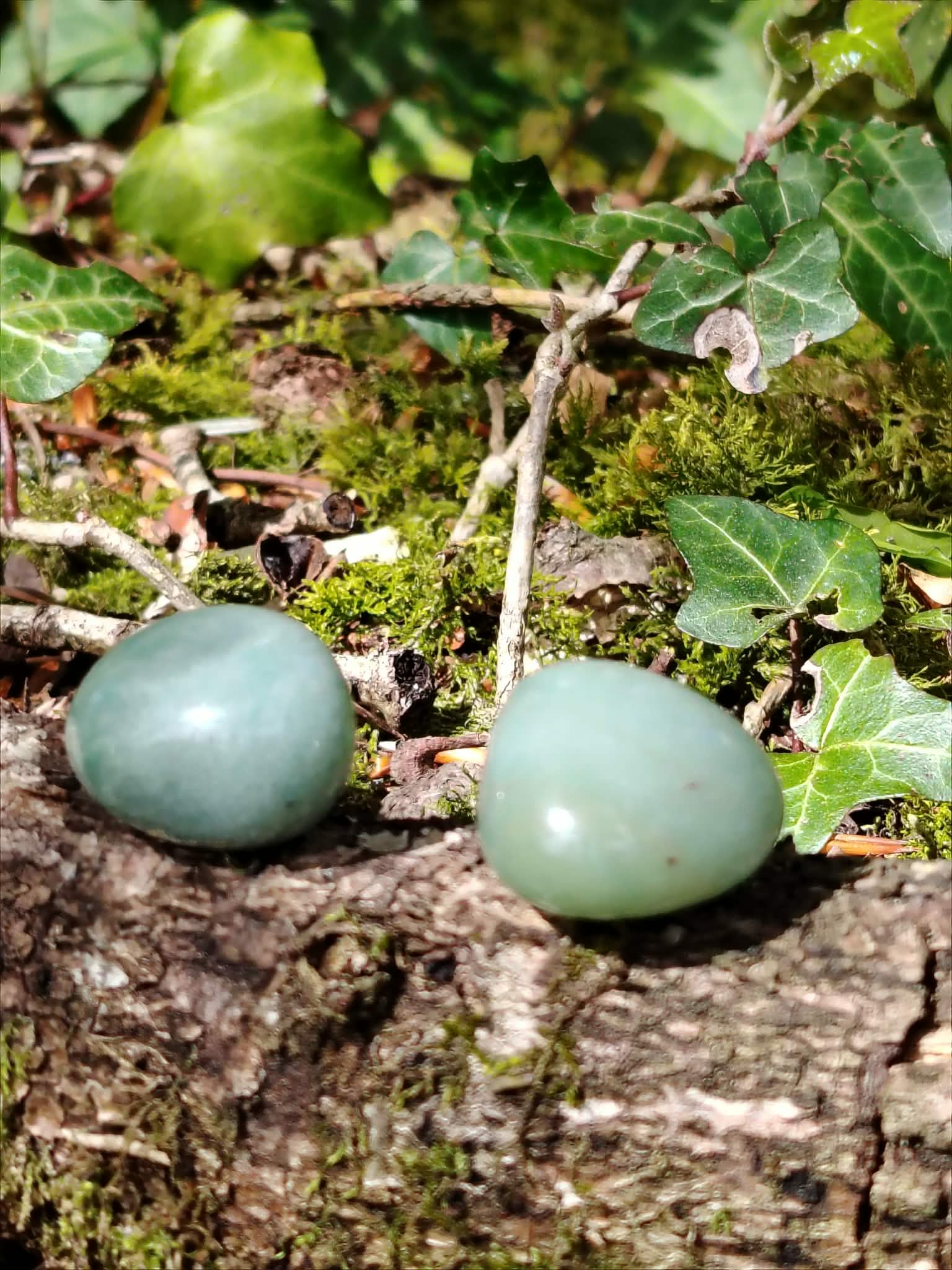 Pierres roulées en aventurine verte sur écorce et mousse, pierre naturelle associée au calme émotionnel, au renouveau et à l’harmonie du cœur.