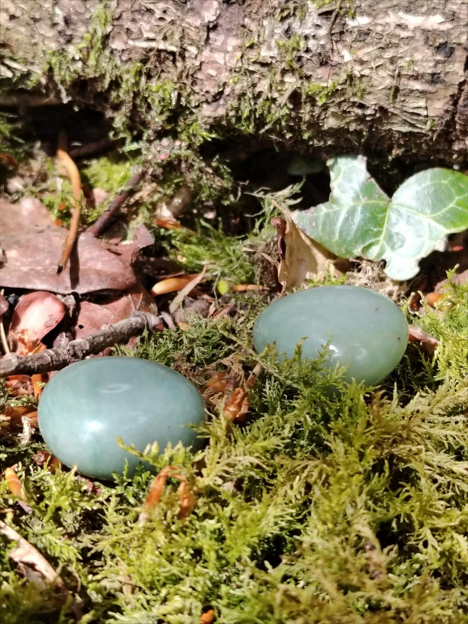 Deux pierres roulées d’aventurine verte sur mousse sous une écorce avec feuille de lierre, pierre naturelle verte pour adoucir les réactions et retrouver plus de recul.