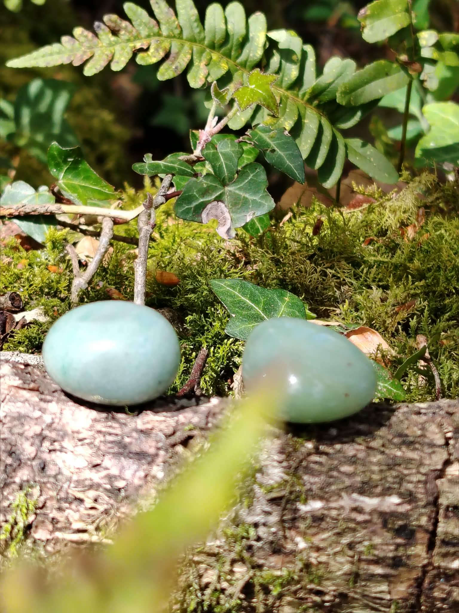 Deux galets polis d’aventurine verte sur tronc moussu avec lierre et fougère, pierre naturelle liée à la détente du cœur et au souffle du renouveau.