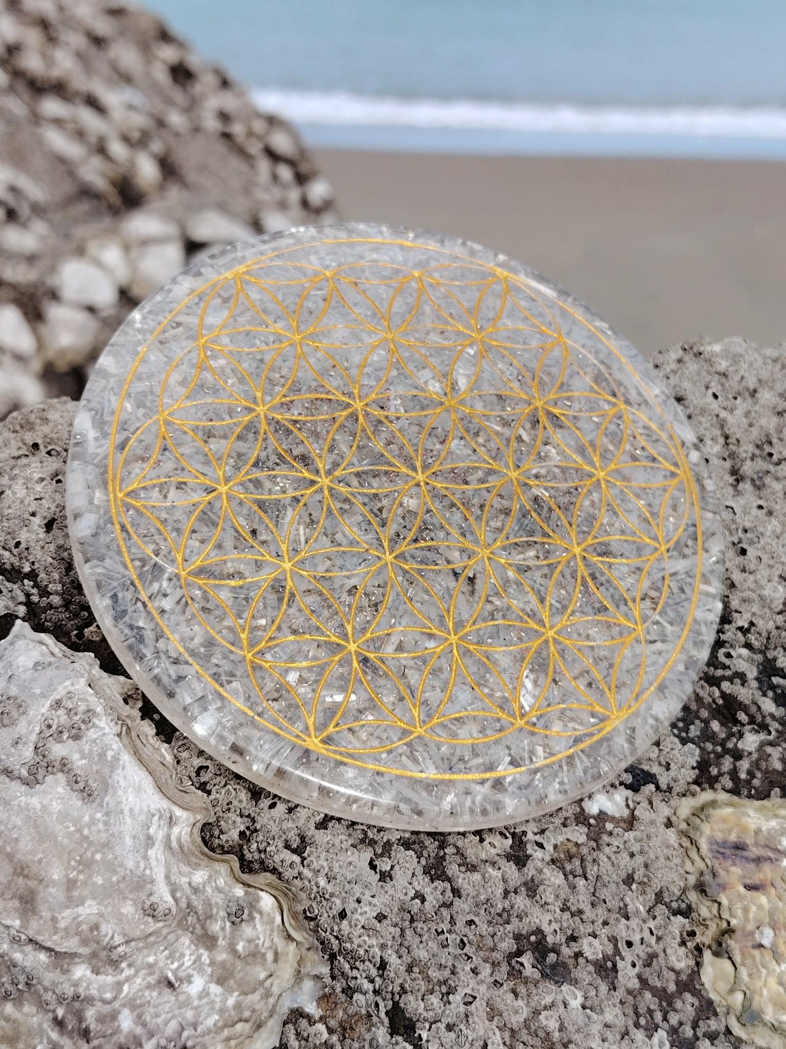Zoom sur plateau orgonite sélénite sur rocher marin en Bretagne, surface blanche irisée et gravure dorée détaillée, clarté d’esprit et douceur énergétique.