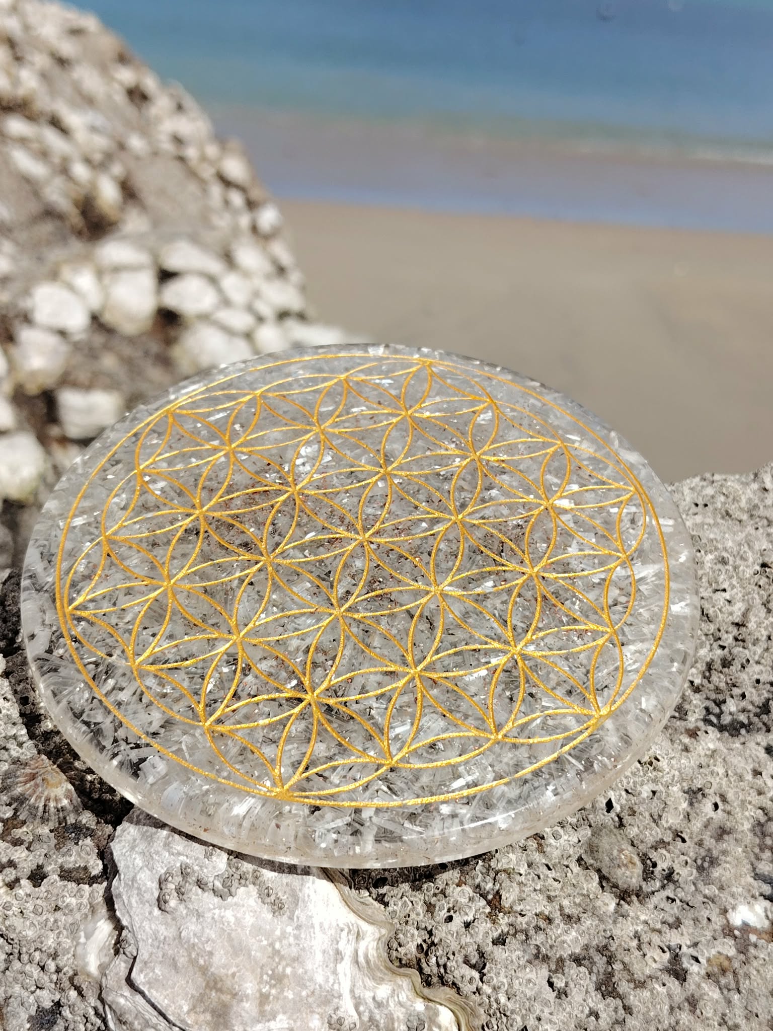 Plateau orgonite sélénite Fleur de Vie sur roche marine en Bretagne face à la plage, disque blanc lumineux au motif doré, clarté énergétique et apaisement intérieur.