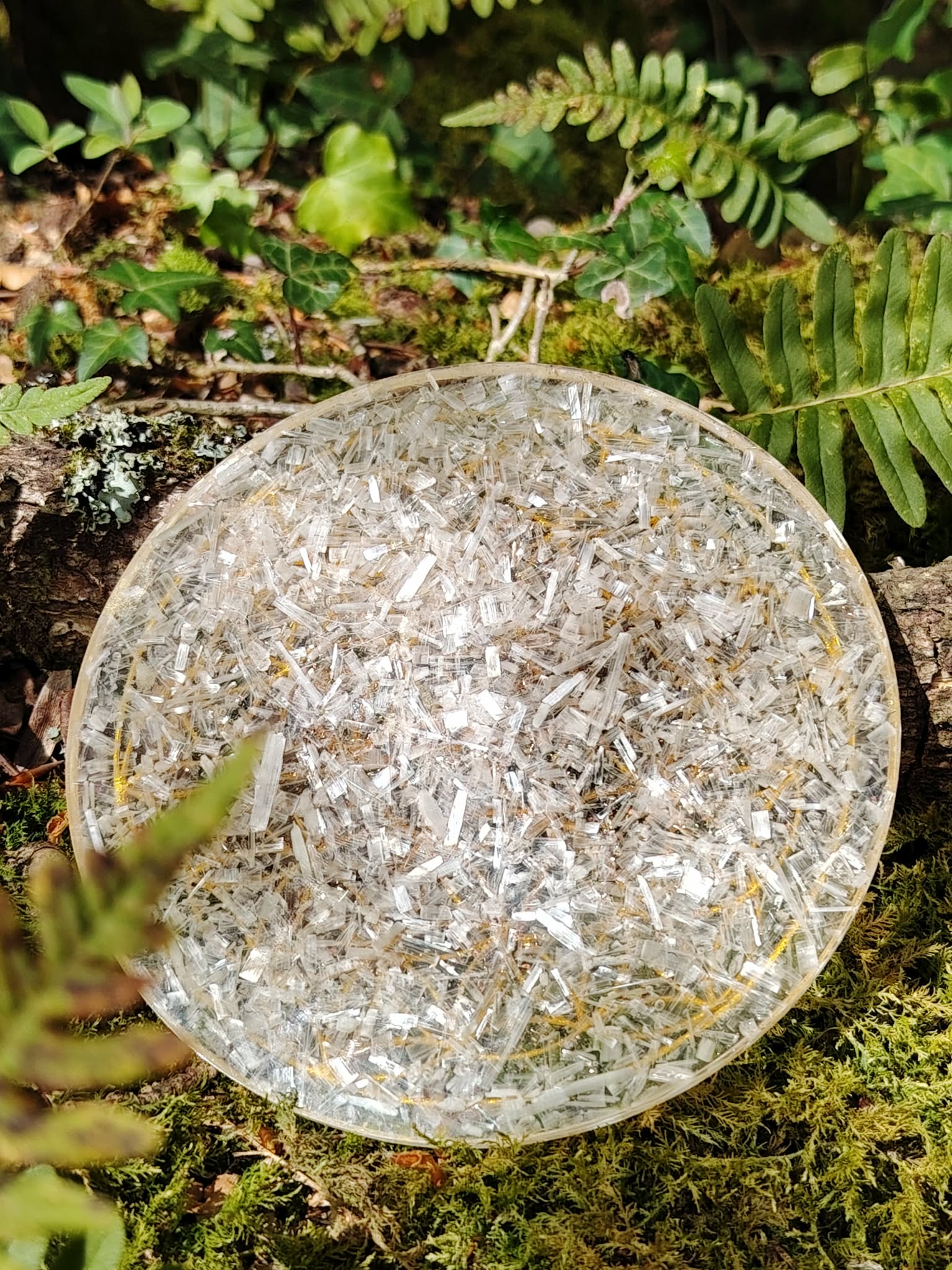 Plateau orgonite sélénite Fleur de Vie en gros plan sur roche coquillée en Bretagne, disque blanc nacré et motif doré lumineux, purification subtile et équilibre émotionnel.