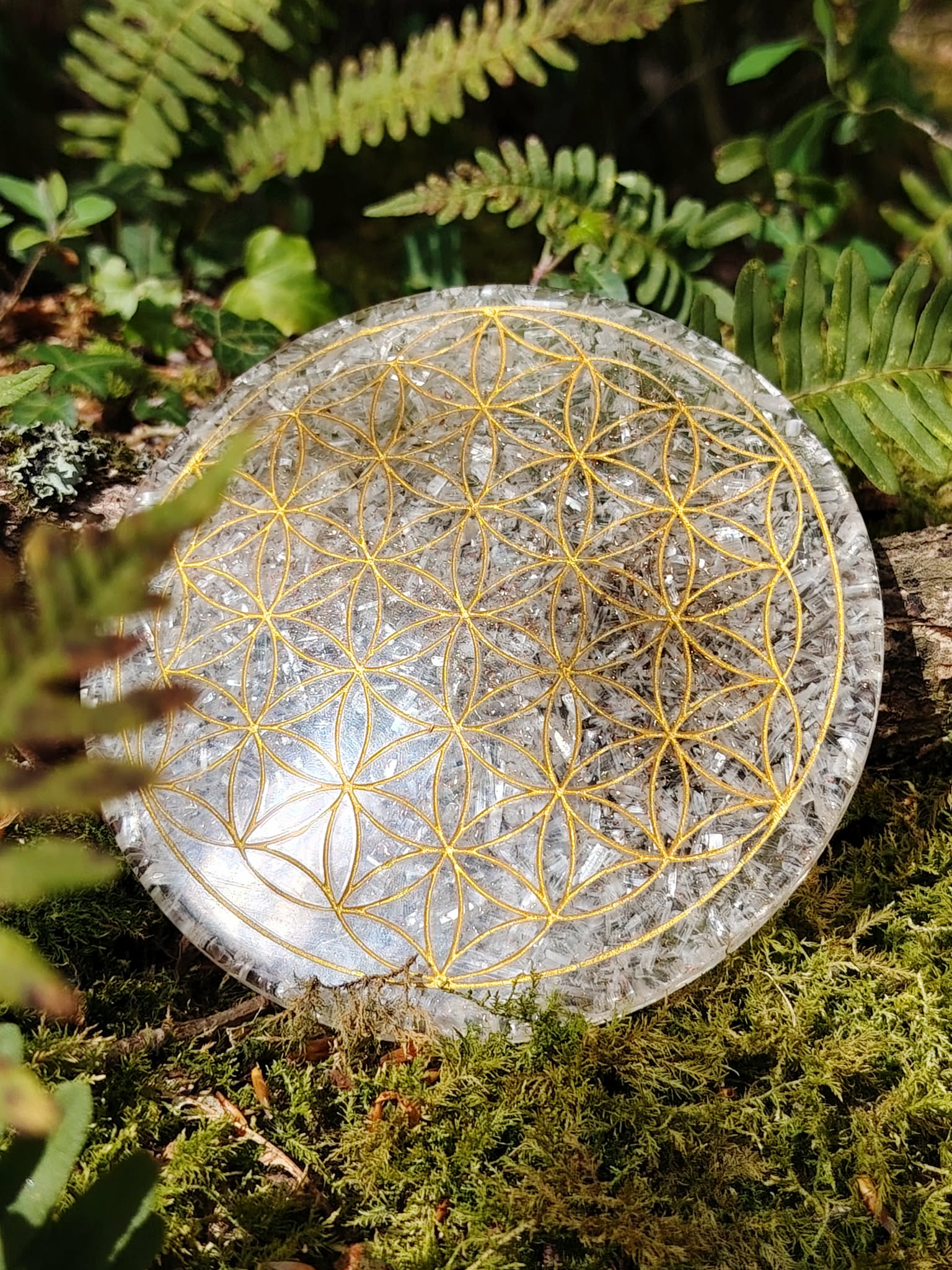 Plateau orgonite sélénite Fleur de Vie en décor naturel, disque de rechargement blanc aux inclusions minérales et symbole doré, purification douce et harmonie intérieure.