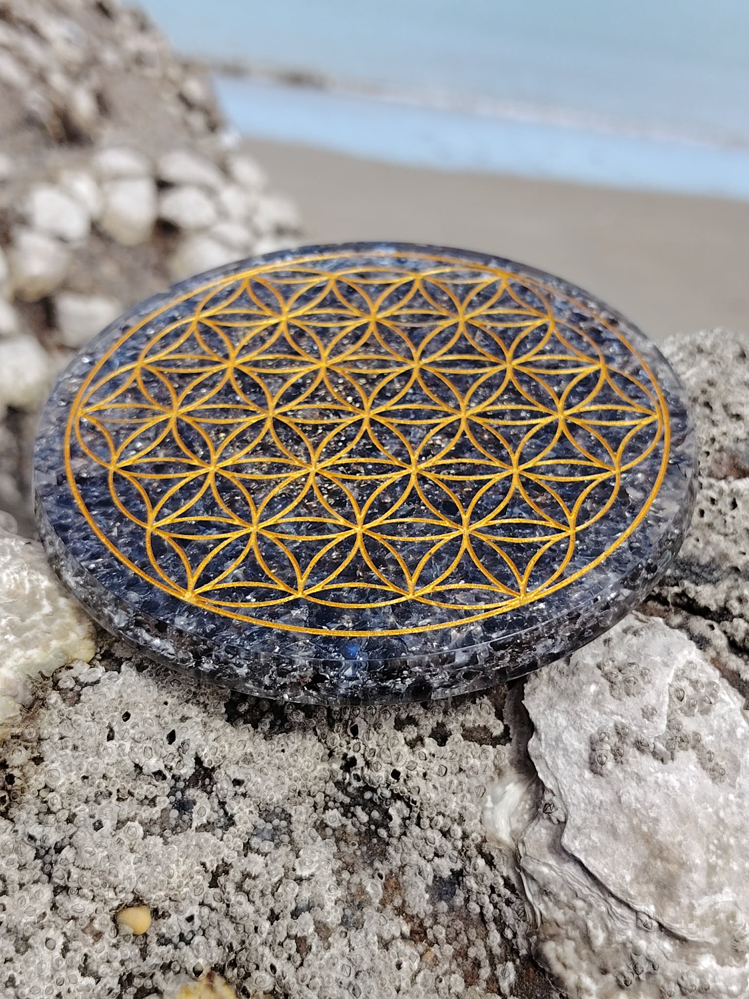 Plateau orgonite obsidienne noire Fleur de Vie sur rocher coquillé au bord de mer en Bretagne, disque noir poli et symbole doré, ancrage profond et protection énergétique.