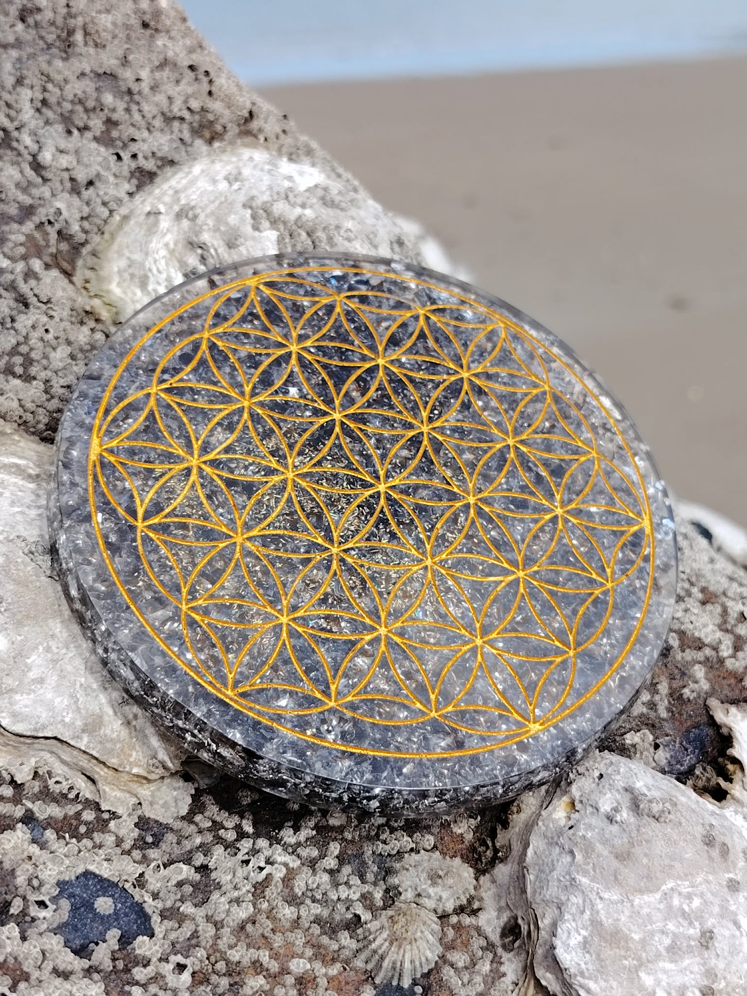 Plateau orgonite obsidienne noire avec Fleur de Vie dorée sur roche en bord de plage en Bretagne, disque de rechargement noir gris, apaisement émotionnel et ancrage profond.