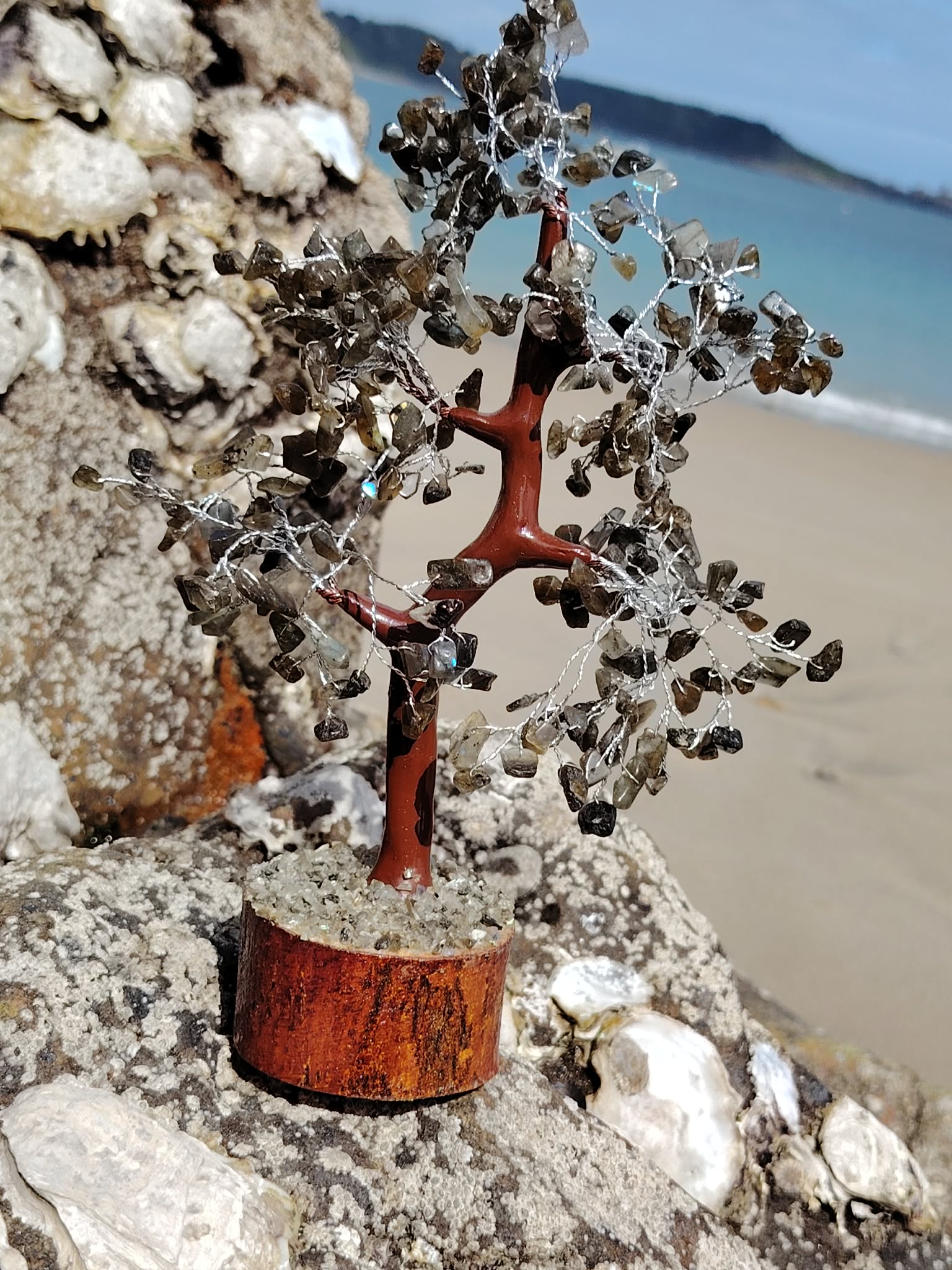 Arbre labradorite avec base en bois en décor naturel breton, ramure minérale en gros plan et reflets bleu acier, intuition et protection subtile.