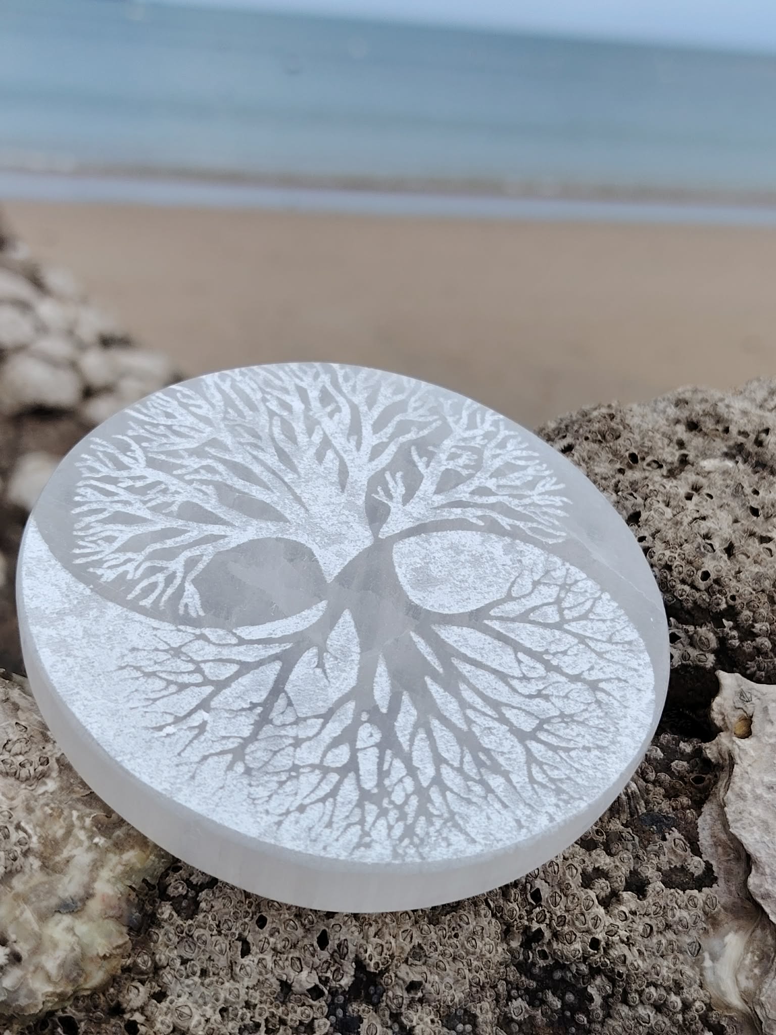 Plateau de sélénite arbre de vie yin et yang sur fond clair, disque blanc gravé aux symboles spirituels, purification douce et harmonie énergétique.