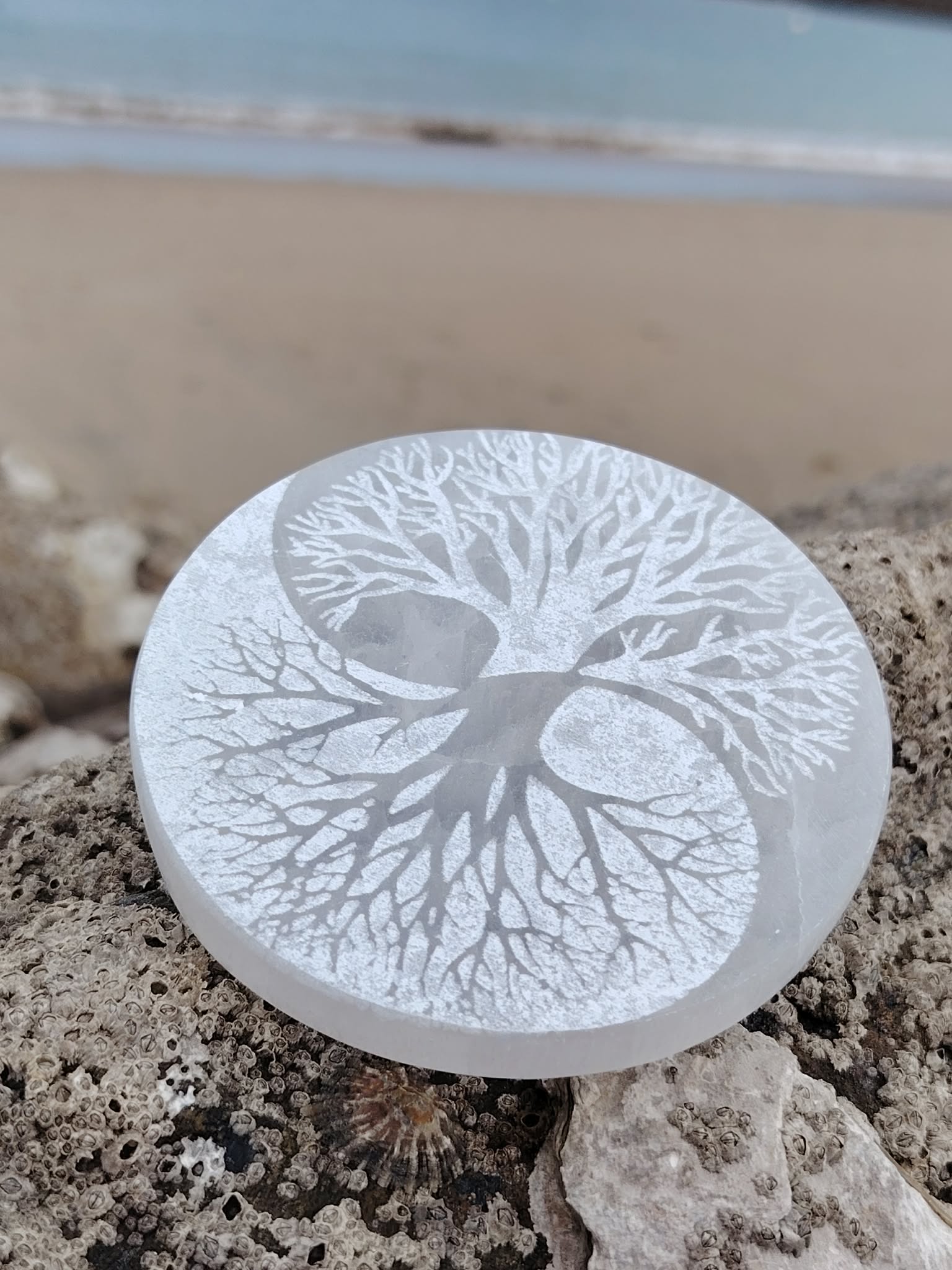 Plateau de rechargement en sélénite avec arbre de vie et yin yang, surface blanche lumineuse, clarté mentale et énergie apaisante.