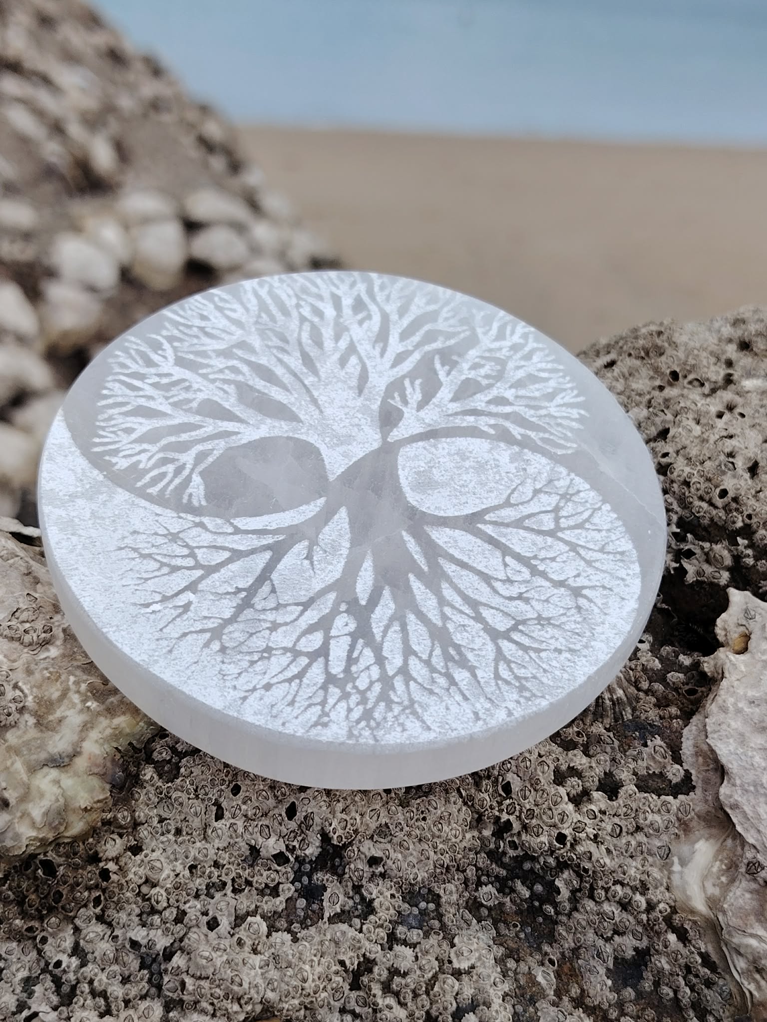 Plateau sélénite arbre de vie yin et yang en gros plan, pierre blanche satinée gravée avec précision, équilibre intérieur et recharge énergétique.
