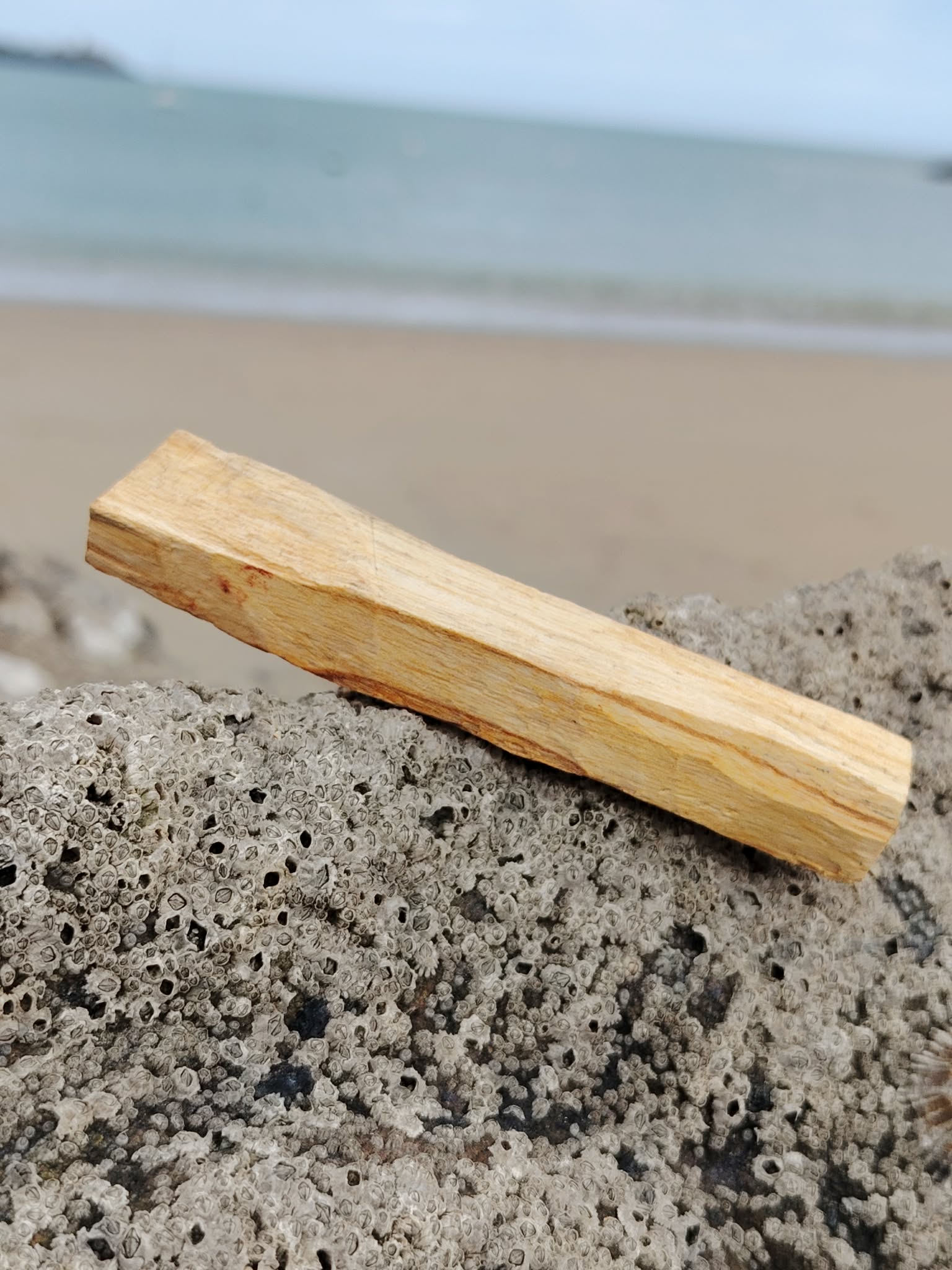 Bâton de Palo Santo Bursera graveolens posé sur rocher marin en Bretagne, bois sacré naturel, nettoyage vibratoire et ambiance sereine.